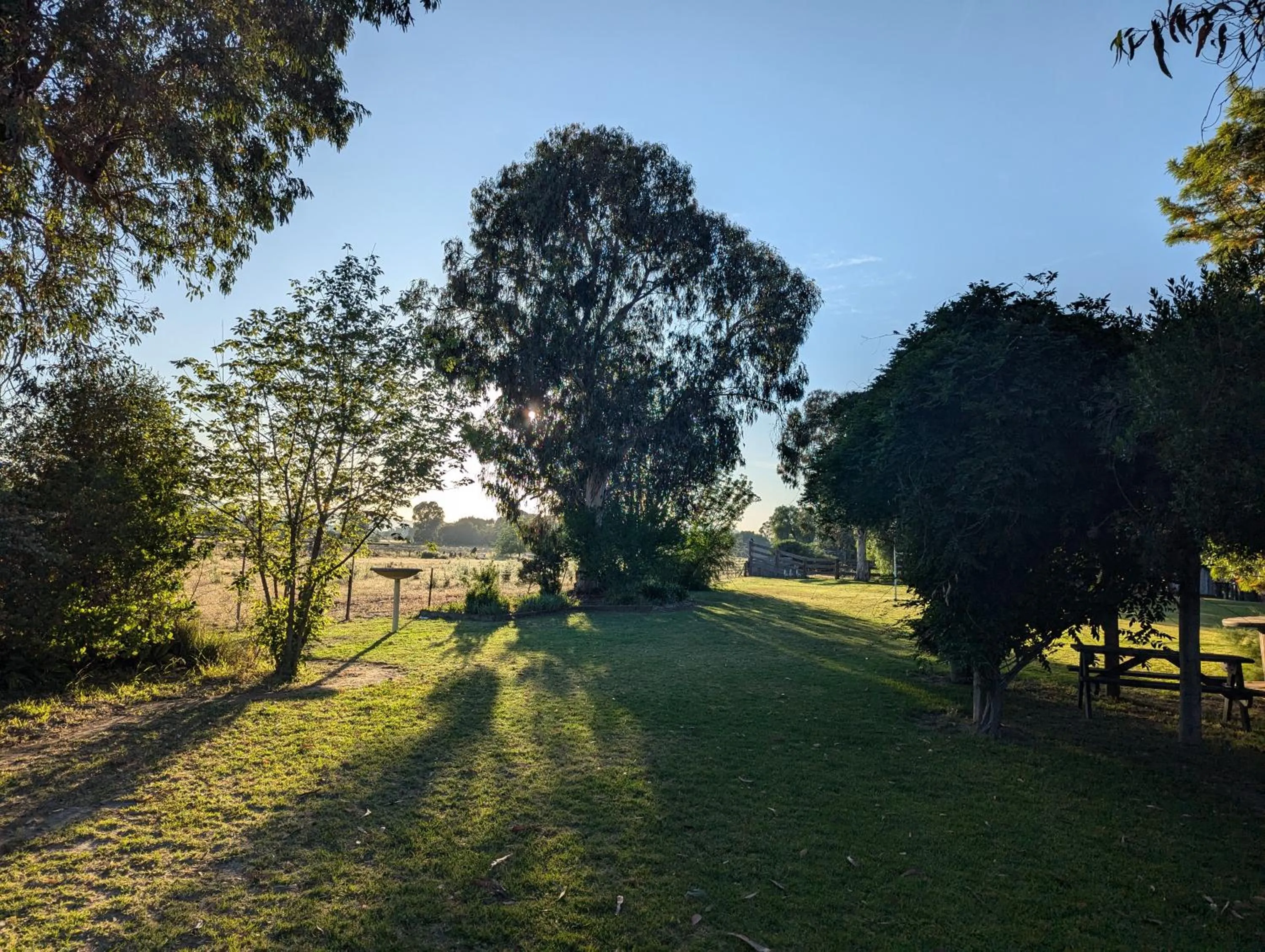 Garden in The Cudgee at Mudgee