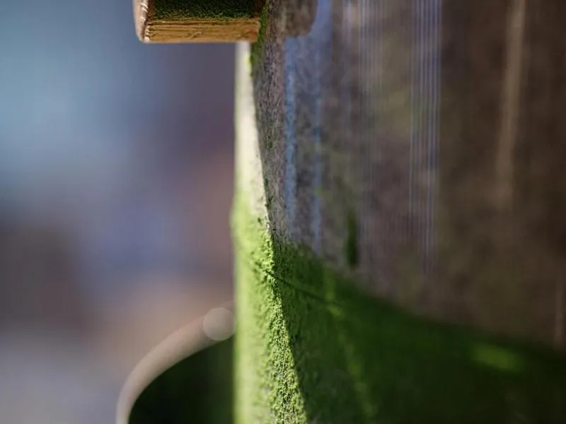 Area and facilities in Nakanobo Zuien (Adult Only)