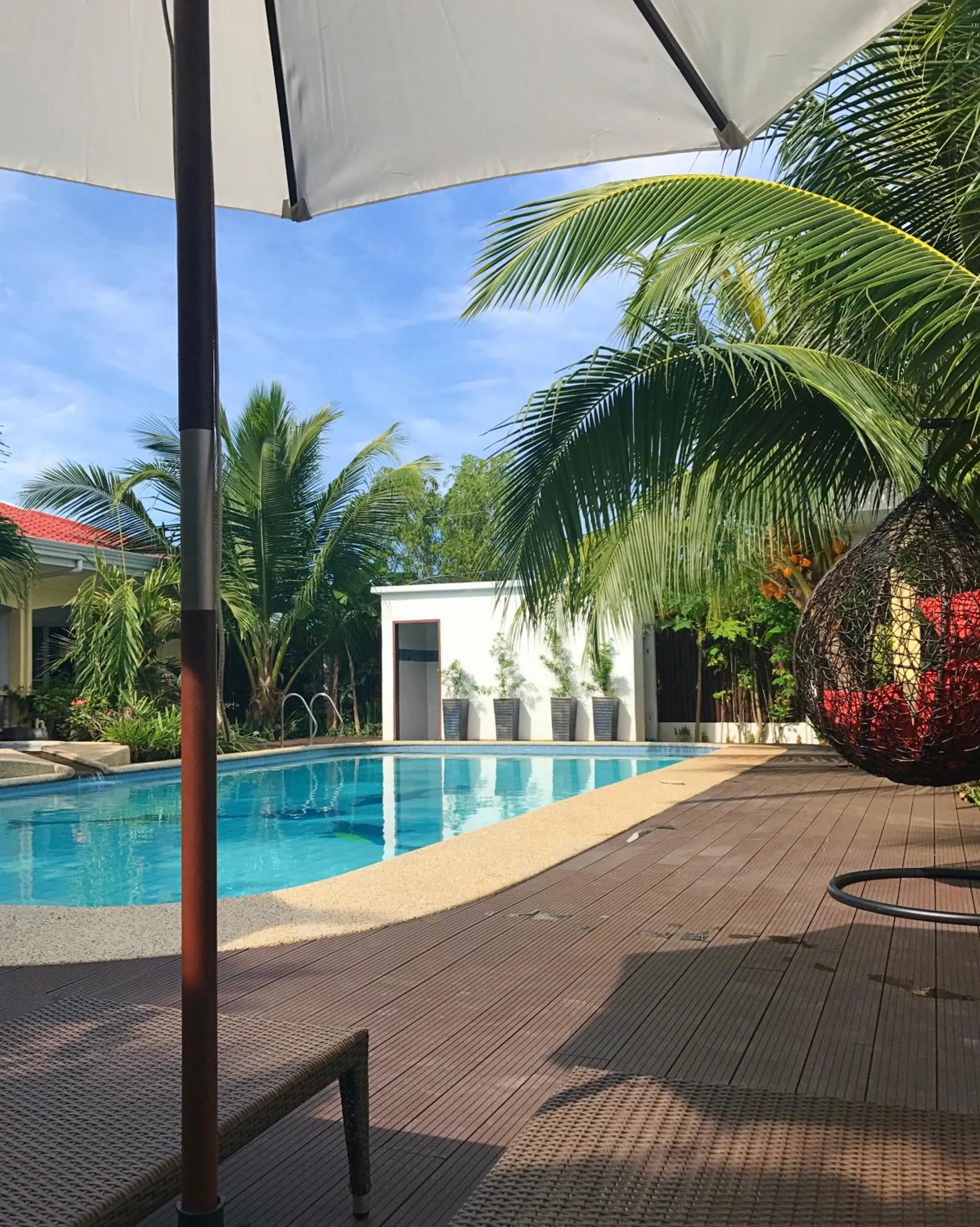 Swimming pool in Nora's Place