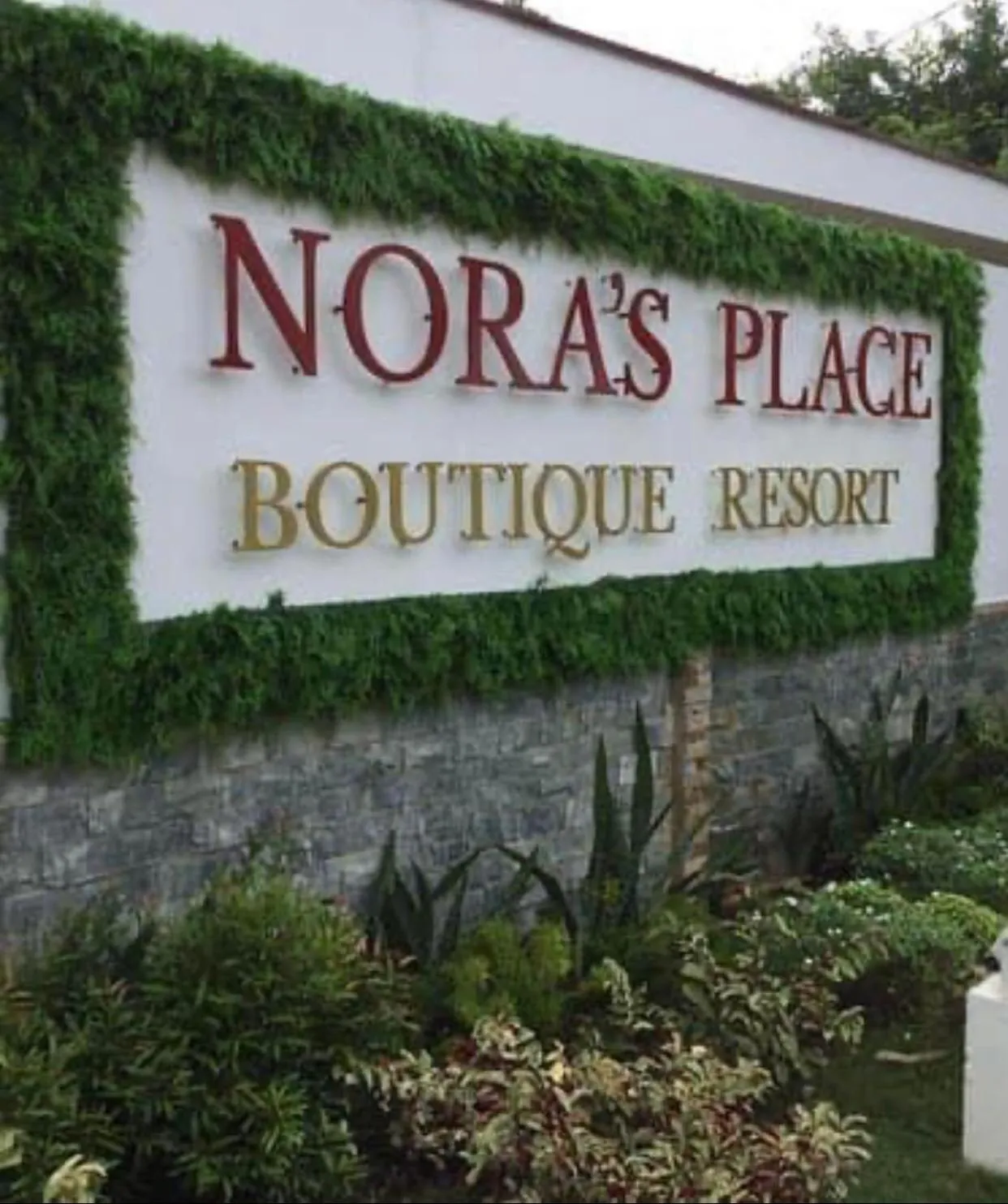 Nora's Place