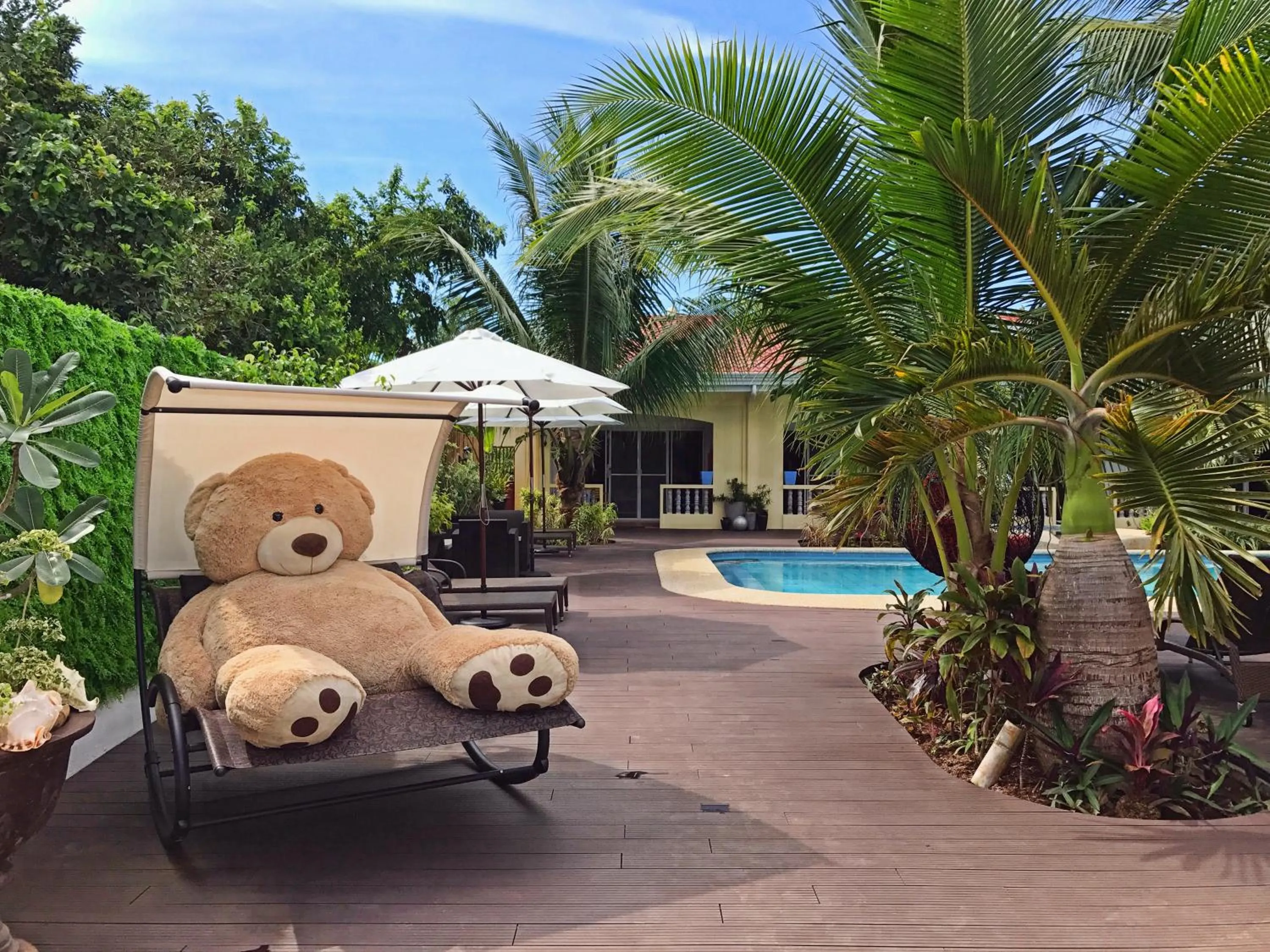 Area and facilities in Nora's Place