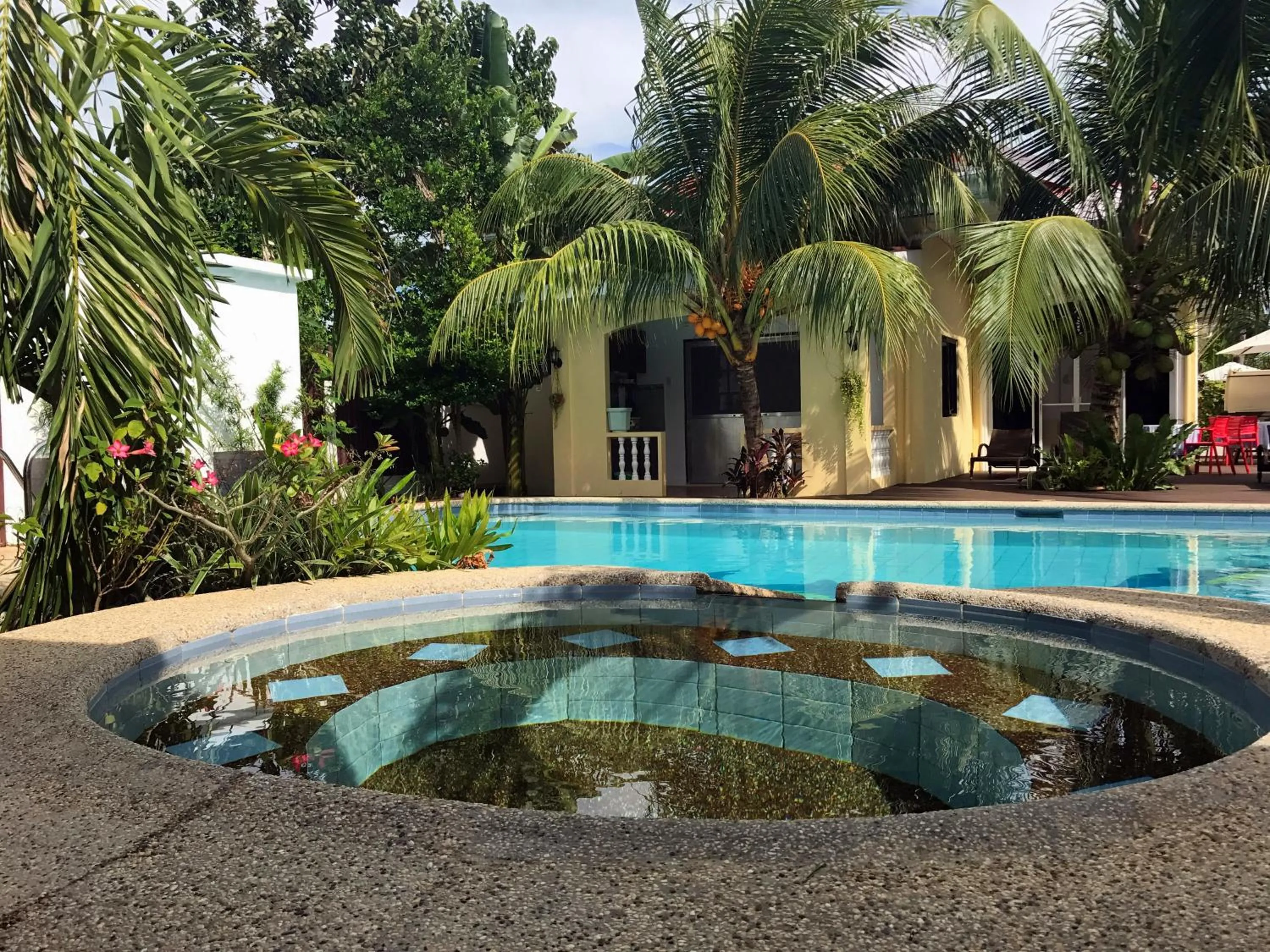 Pool view in Nora's Place