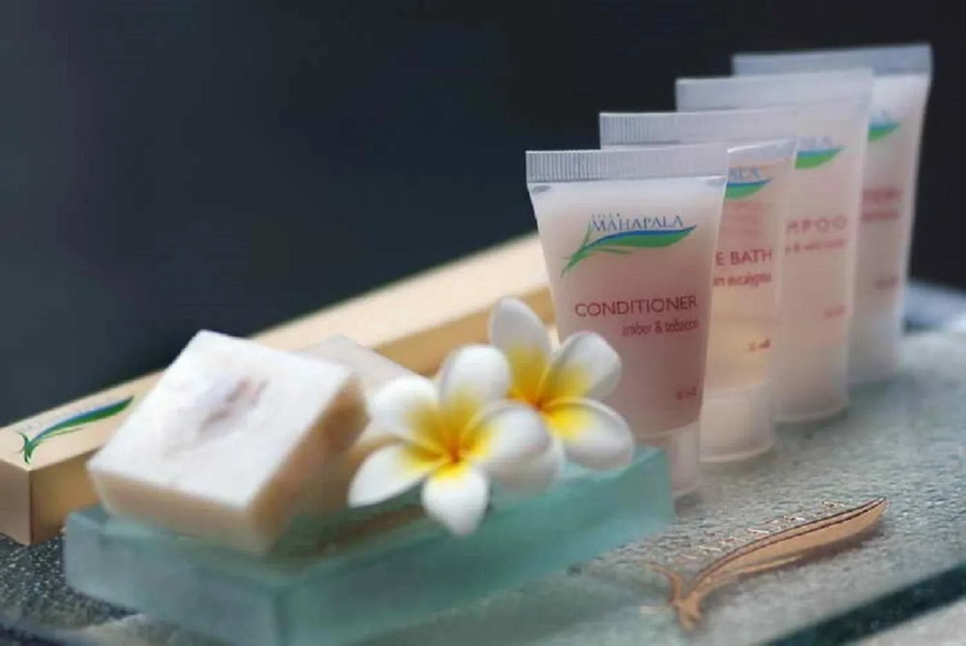 Spa and wellness centre/facilities in Villa Mahapala