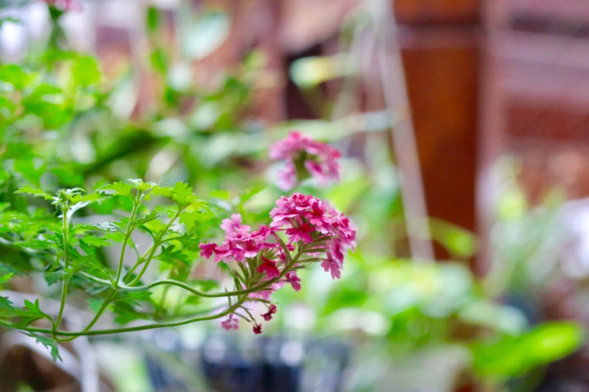 Long Life Riverside Hotel