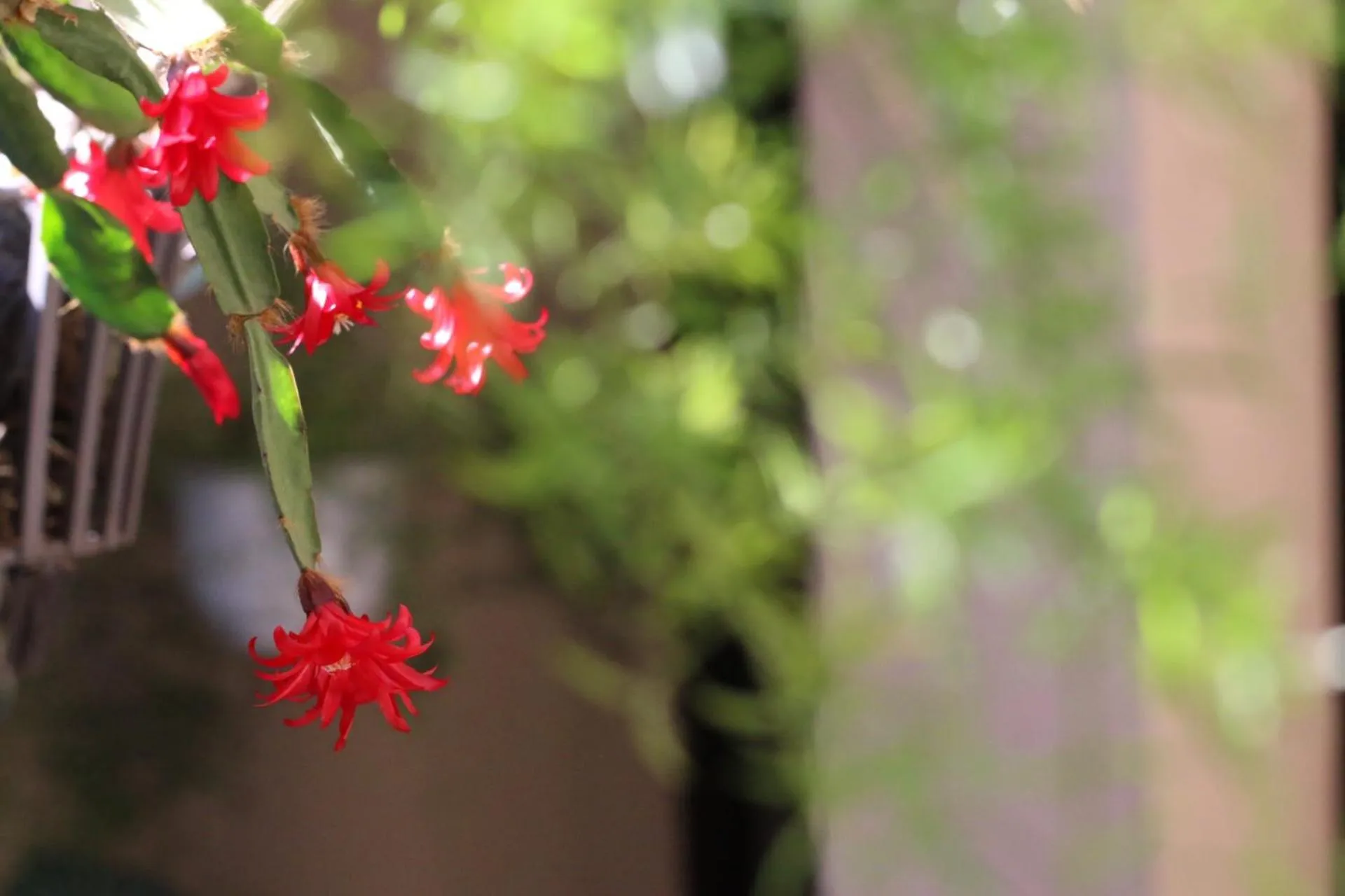 Long Life Riverside Hotel