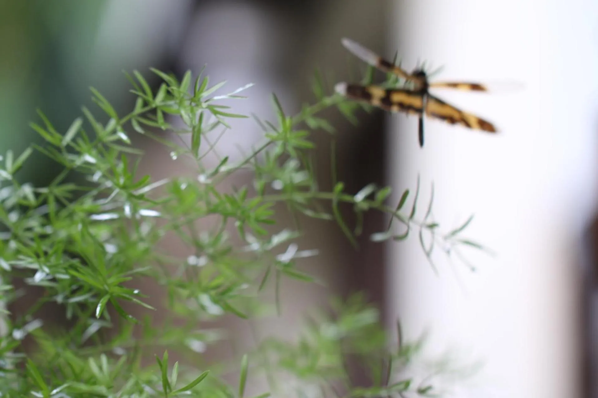 Decorative detail in Long Life Riverside Hotel