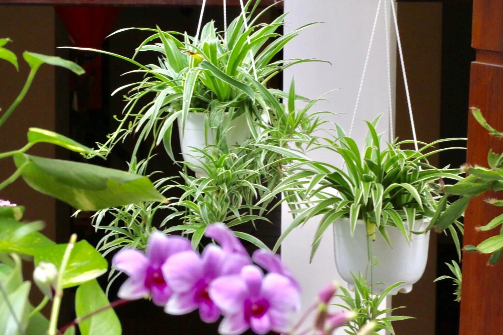 Long Life Riverside Hotel