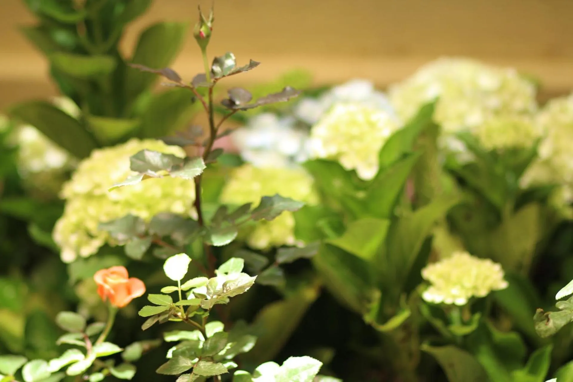 Long Life Riverside Hotel