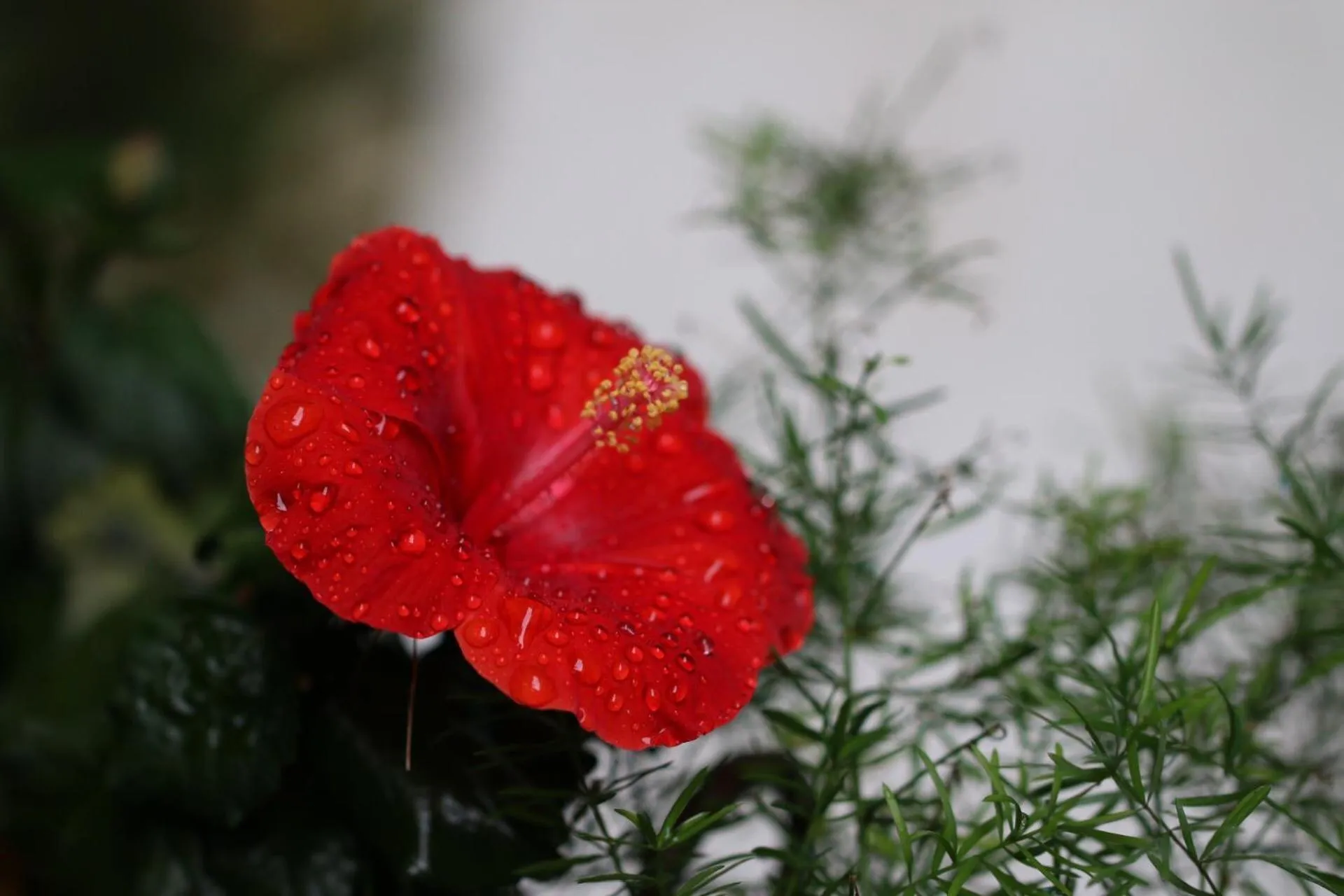 Long Life Riverside Hotel