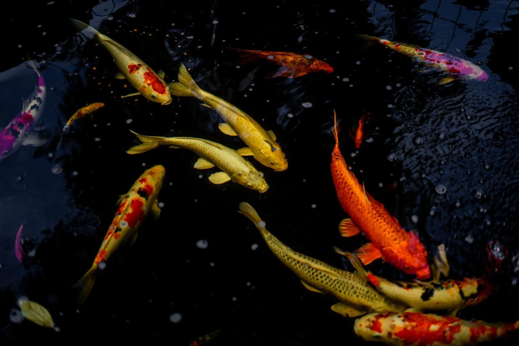 Breakfast in Villa Khoum Xieng Thong Boutique