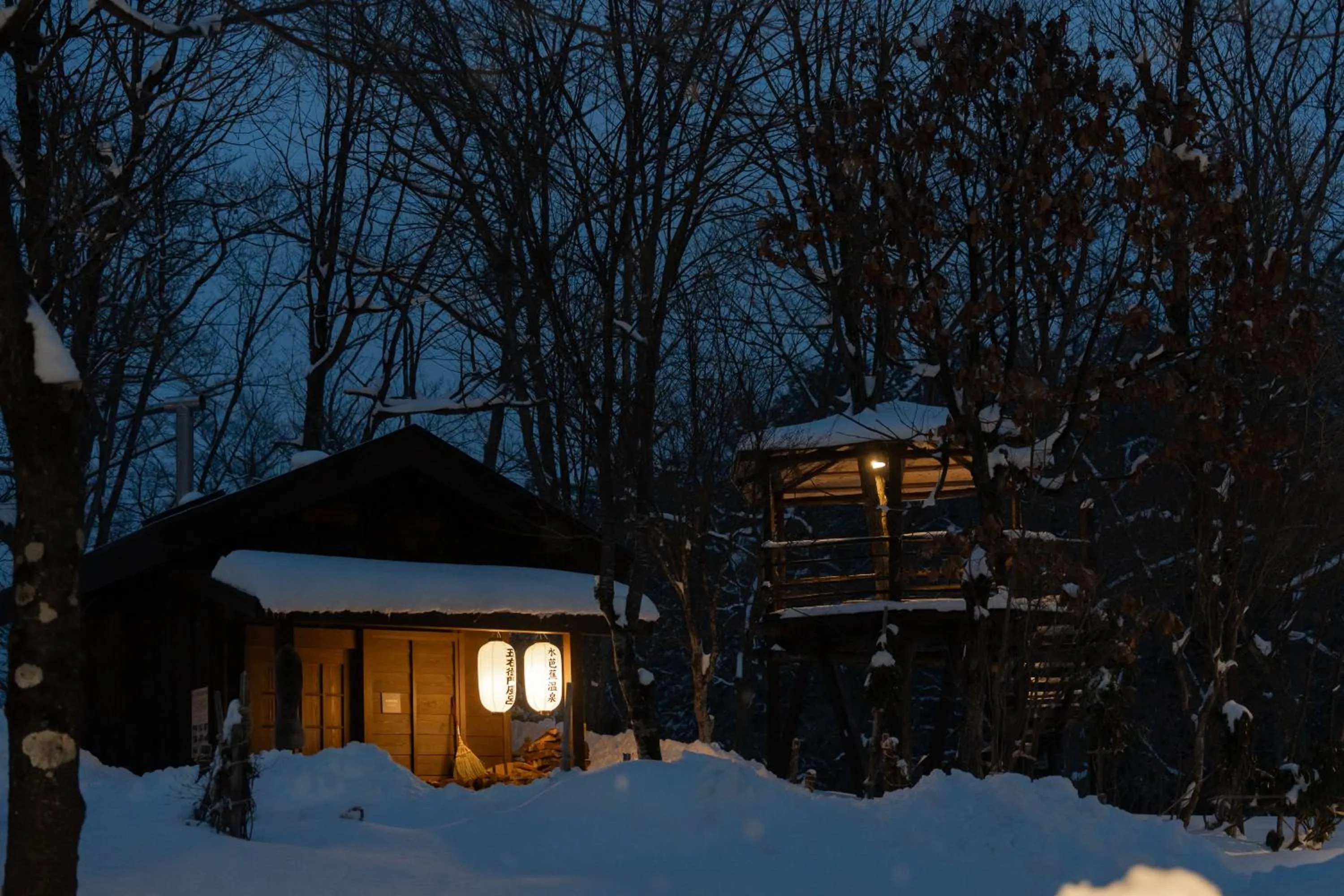 Night in Hotel Sierra Resort Hakuba