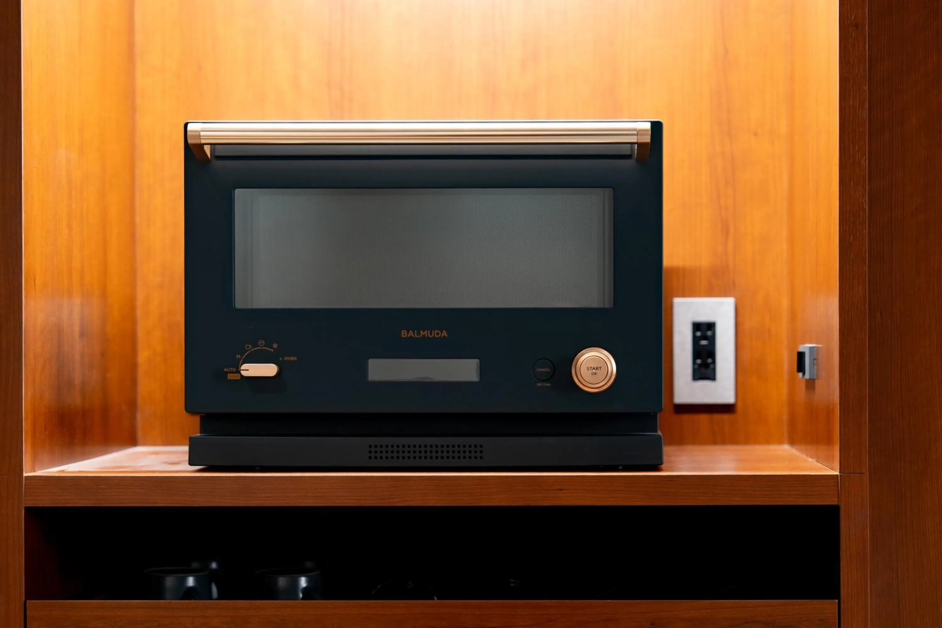 microwave in Hotel Sierra Resort Hakuba