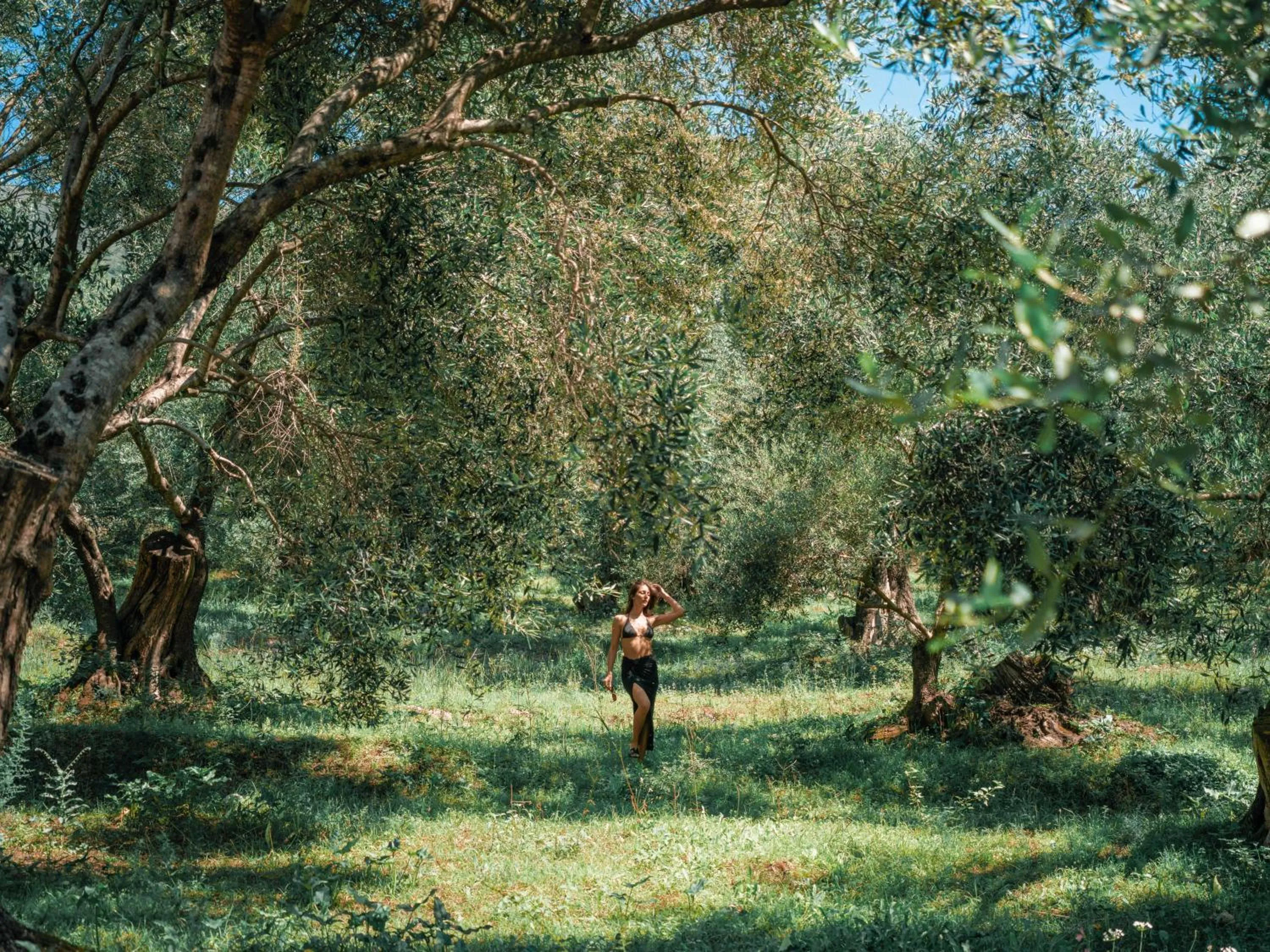 Hiking in Dracos Hotel