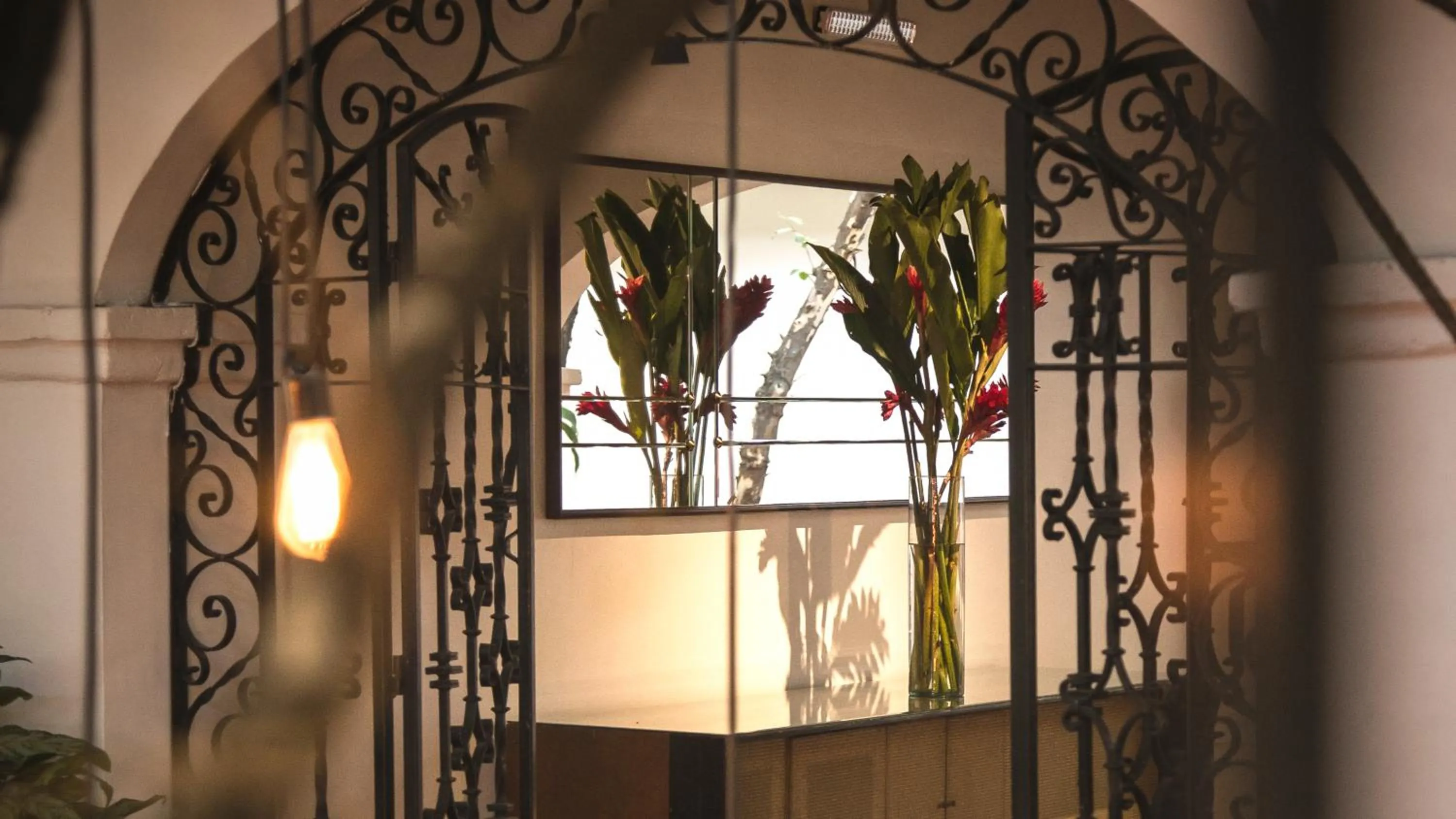 Area and facilities in Agrado Guest House