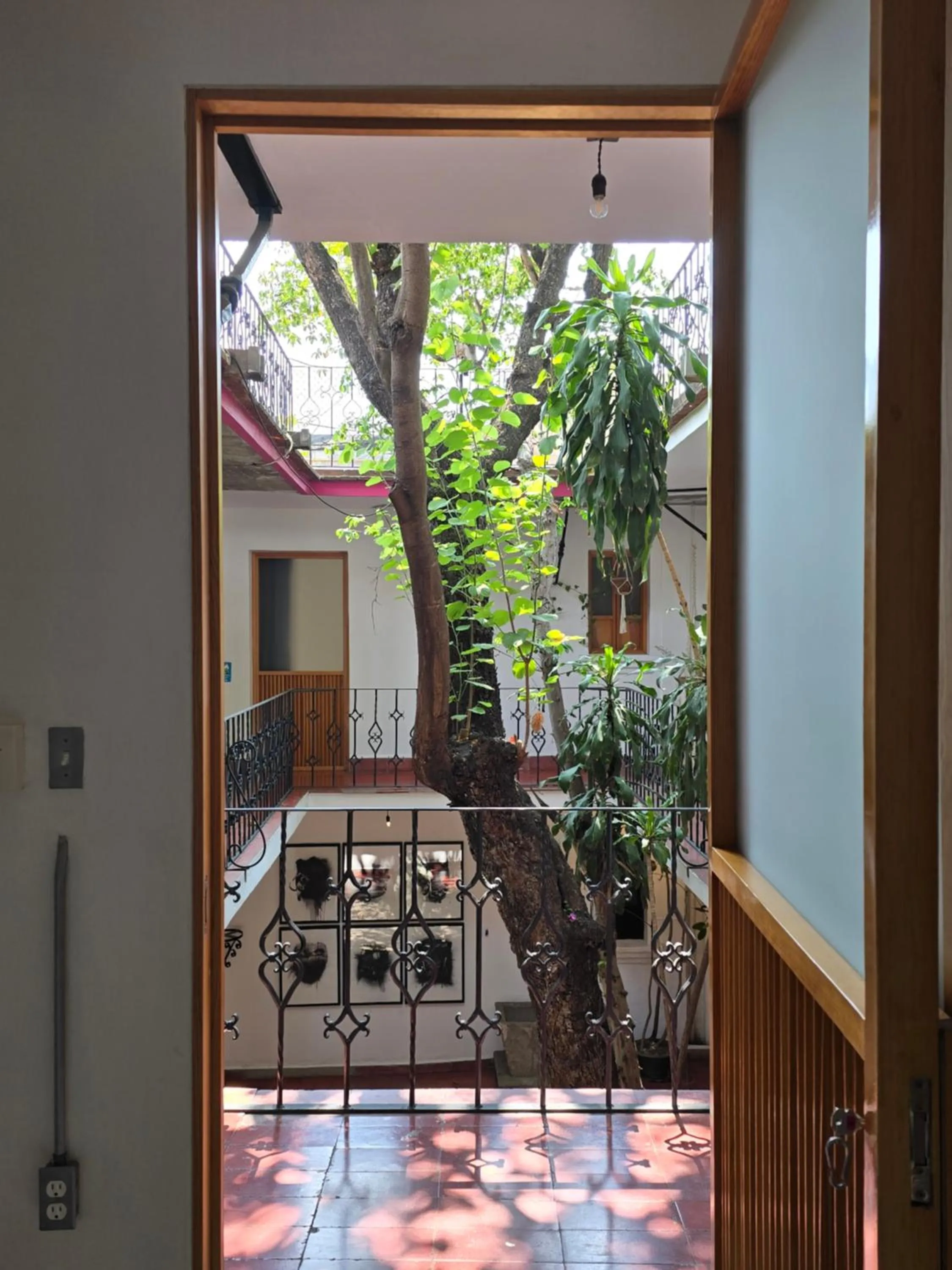 View (from property/room) in Agrado Guest House