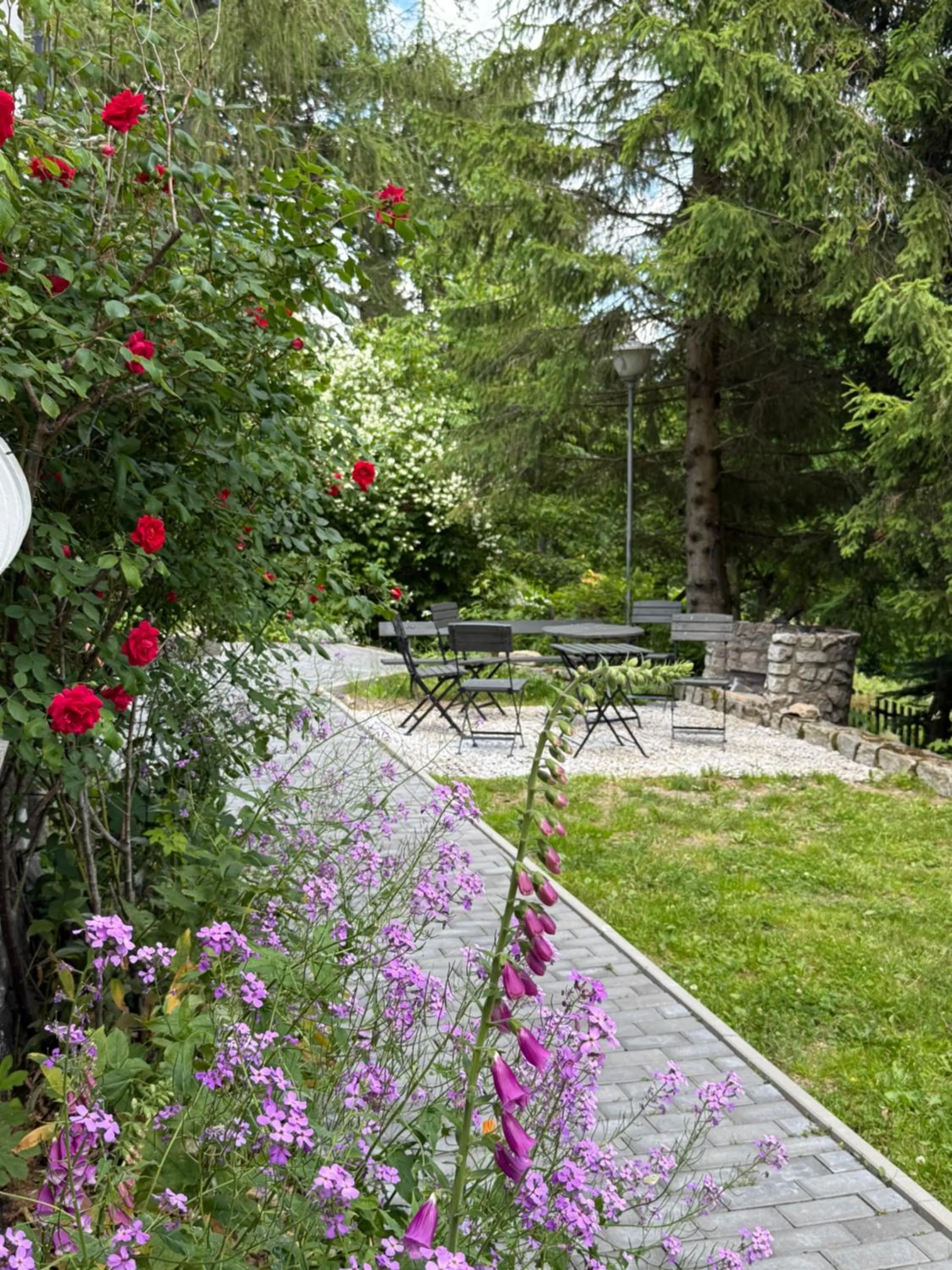 Pod Jeleńcem willa i dom z widokiem na Śnieżkę blisko Wang