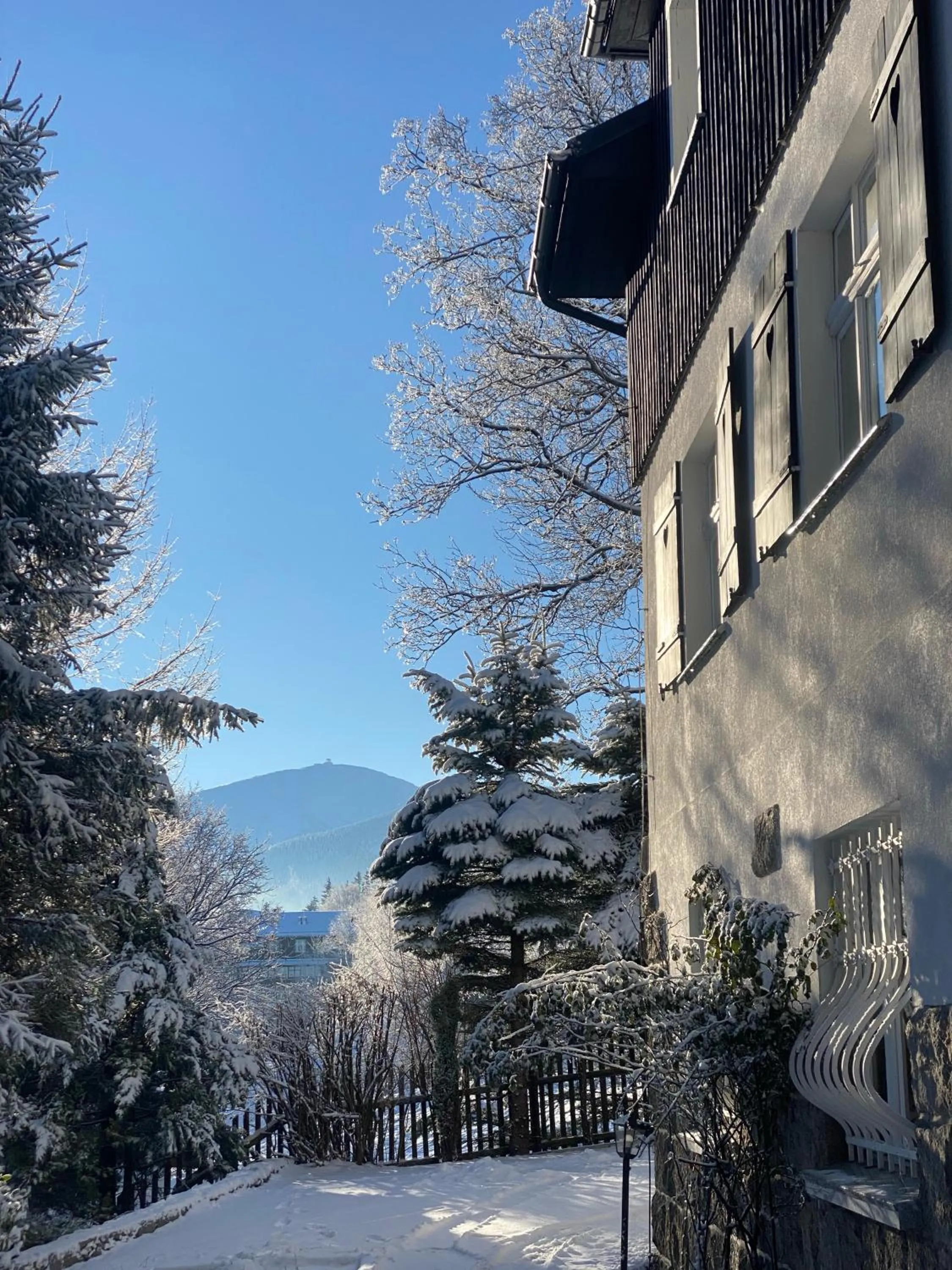 Pod Jeleńcem willa i dom z widokiem na Śnieżkę blisko Wang