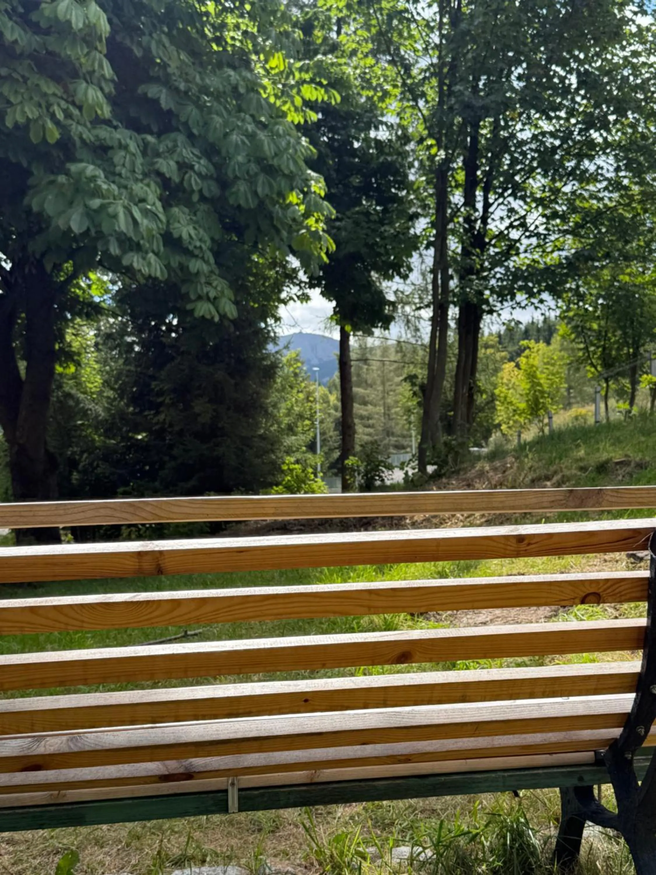 Pod Jeleńcem willa i dom z widokiem na Śnieżkę blisko Wang