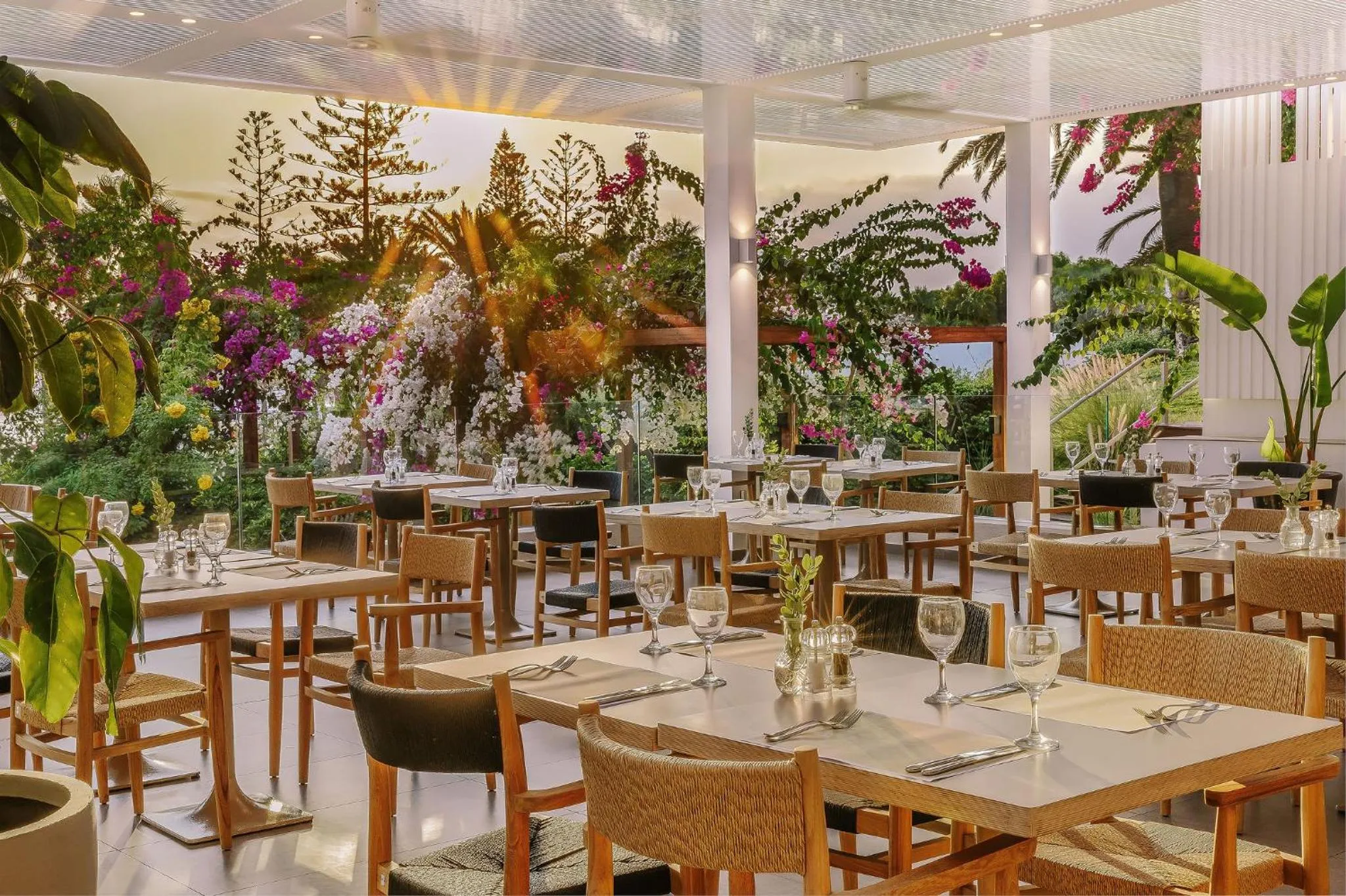 Restaurant/places to eat in Nissi Beach Resort