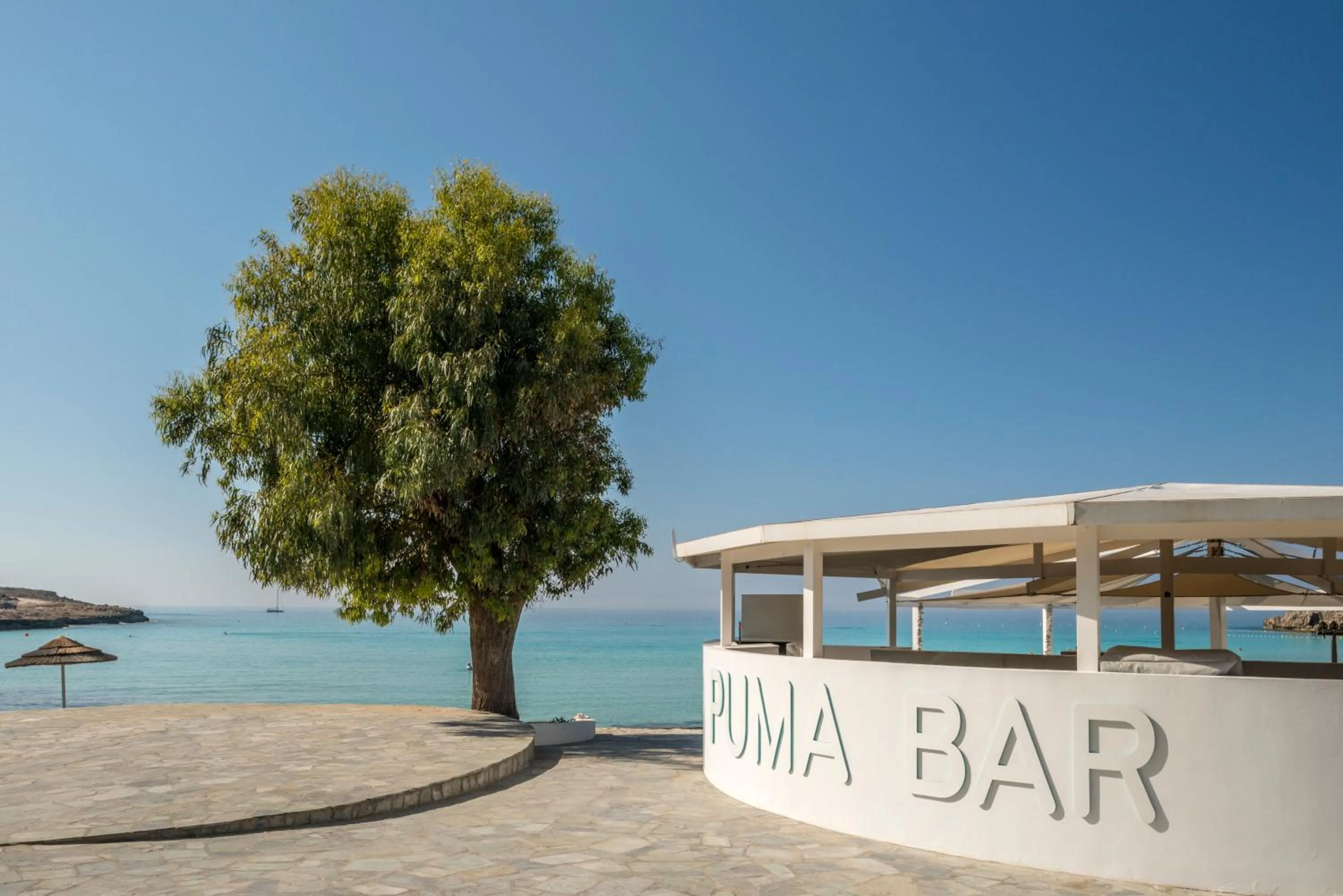 Restaurant/places to eat in Nissi Beach Resort