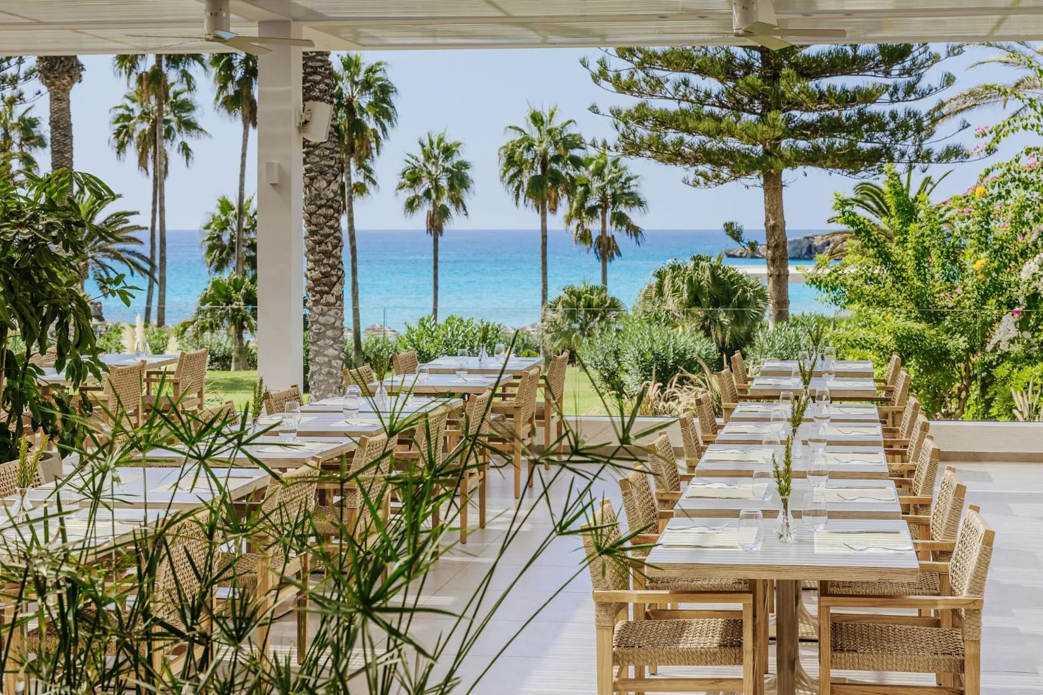 Restaurant/places to eat in Nissi Beach Resort