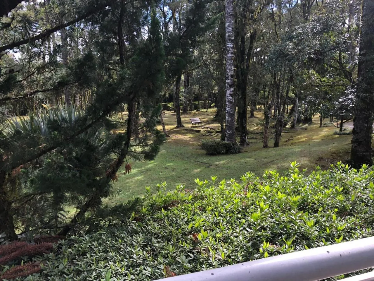 Living room in Flat Luxo Mountain Village