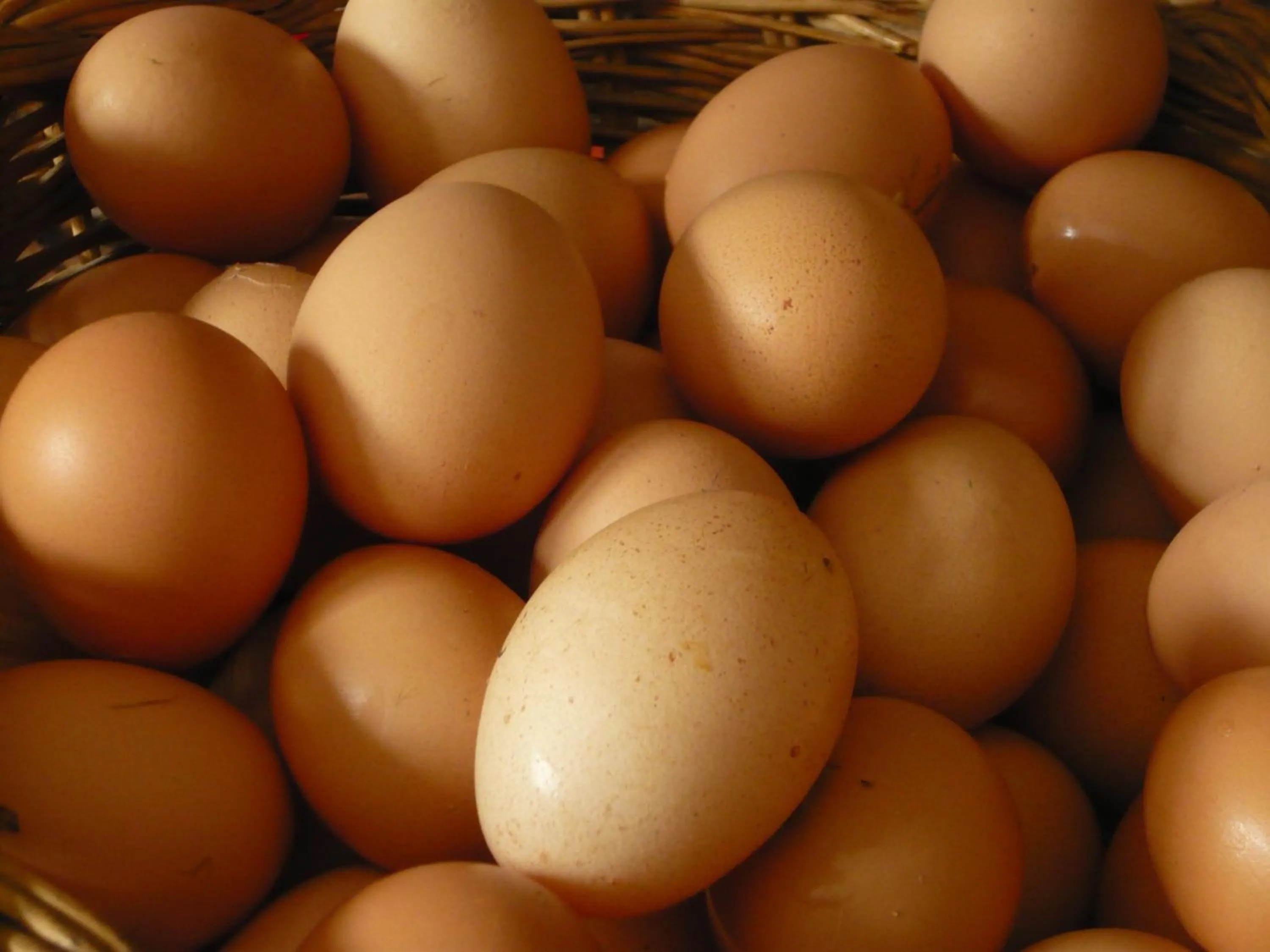 Food and drinks in Hotel Rural Suquin