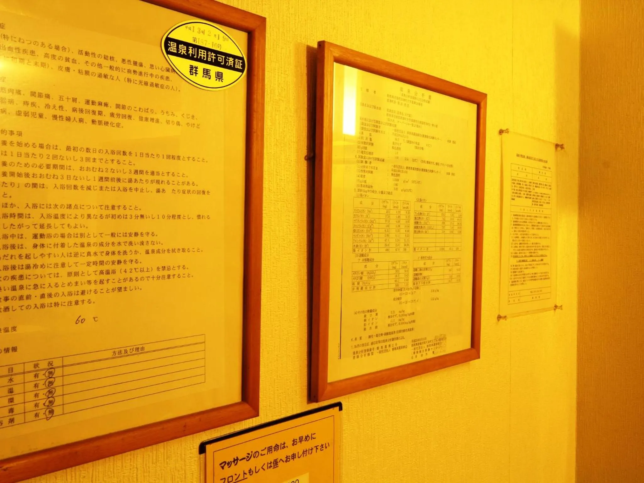 Spa and wellness centre/facilities in Pension Raisin