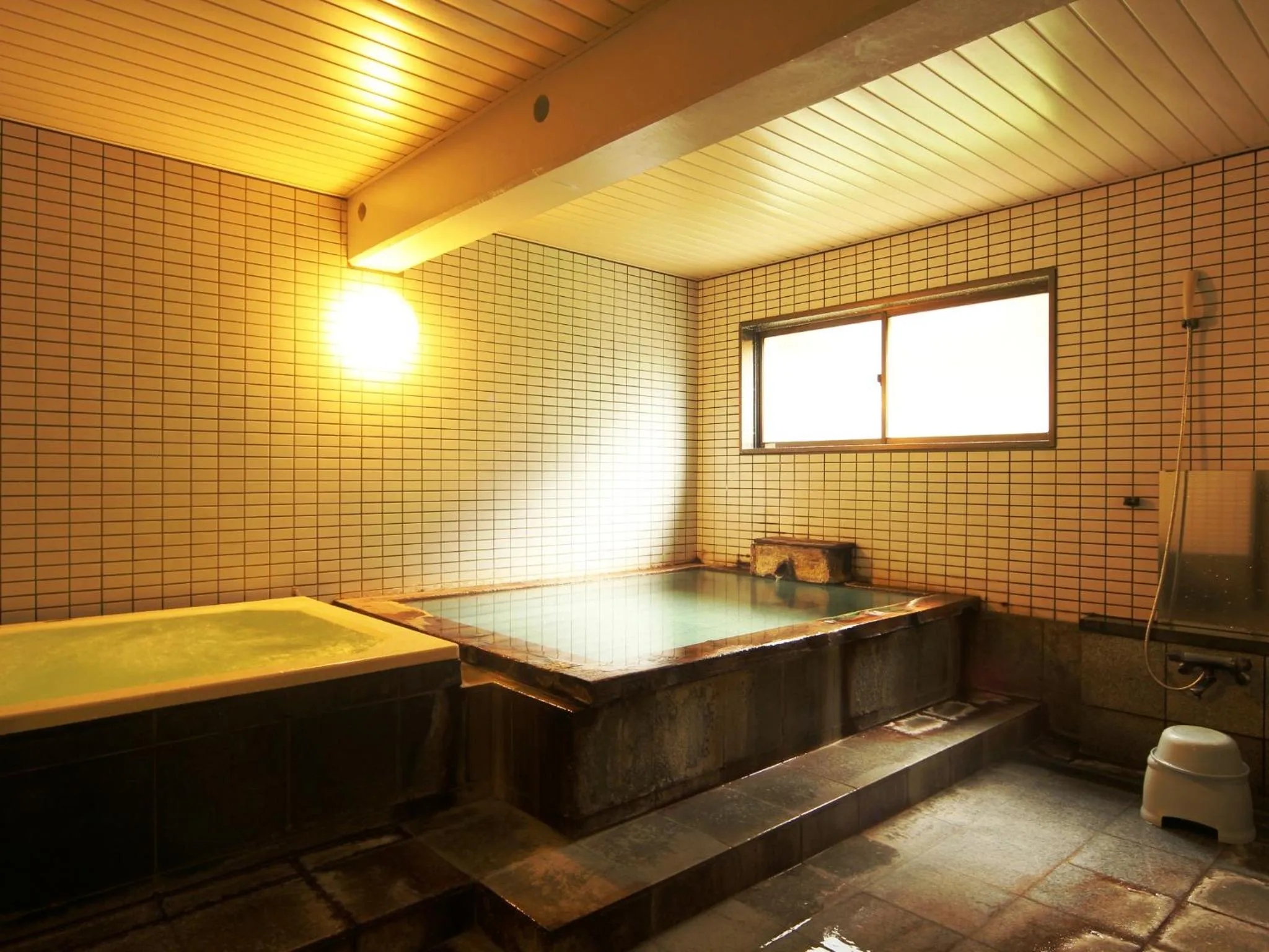 Hot Spring Bath in Pension Raisin
