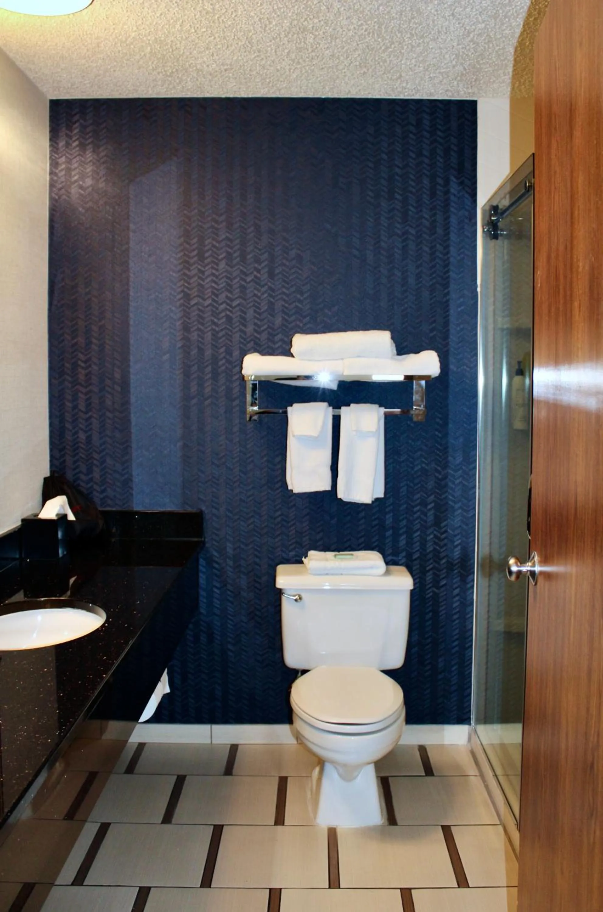 Bathroom in Fairfield Inn Boise Airport