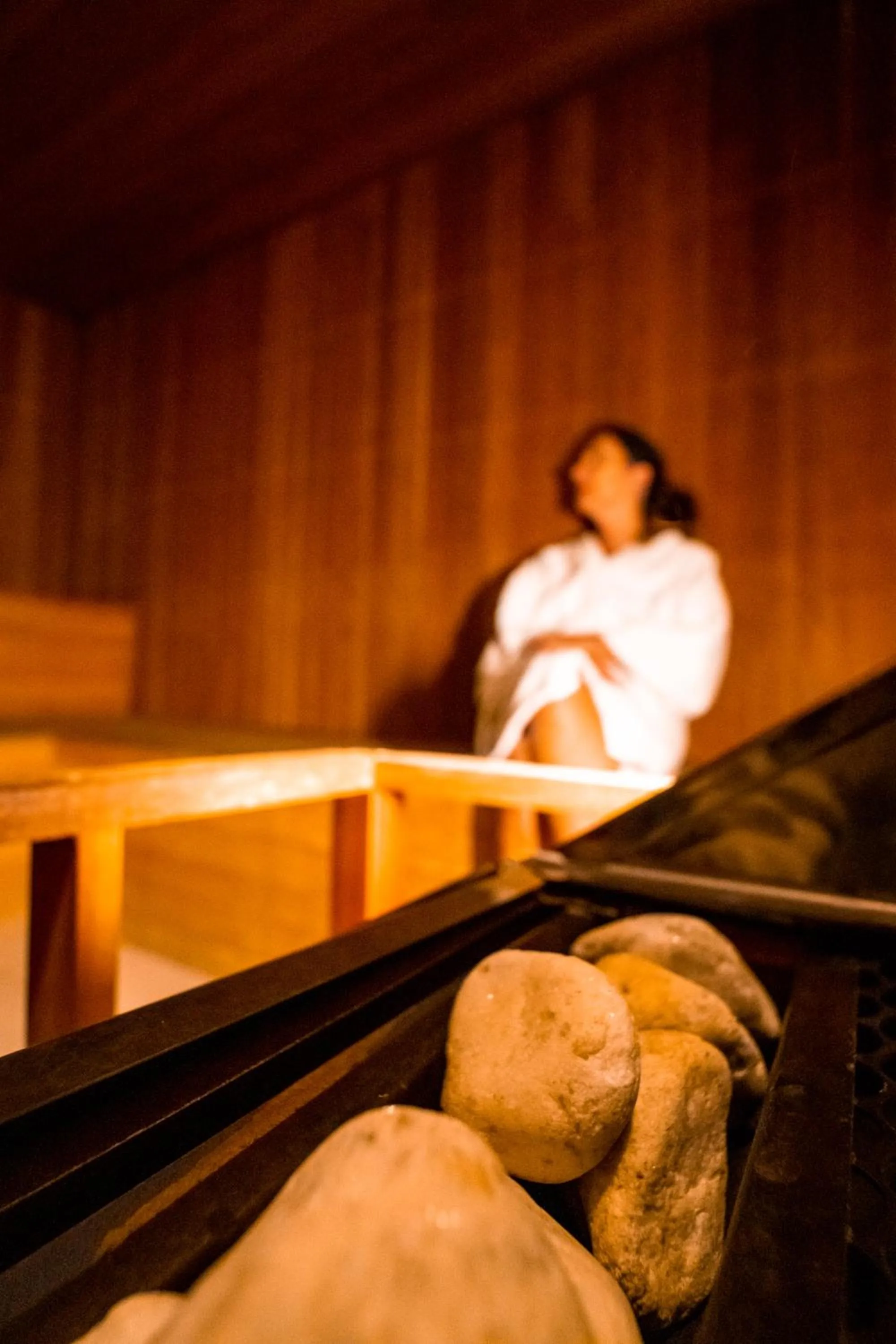 Area and facilities in Hotel Le Renard - Campos do Jordao