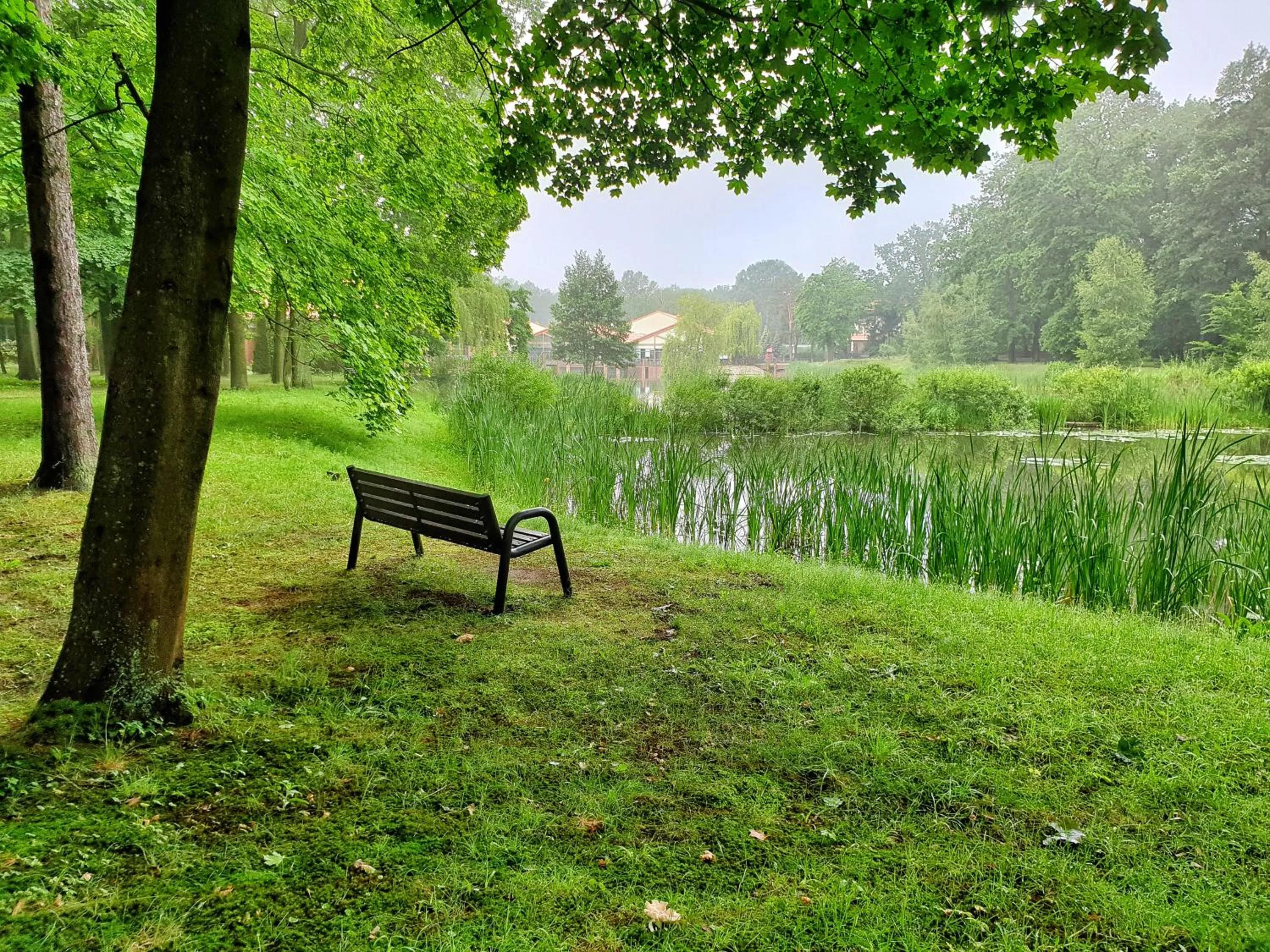 Natural landscape in Stacja Nowa Gdynia Bed & Breakfast Aquapark