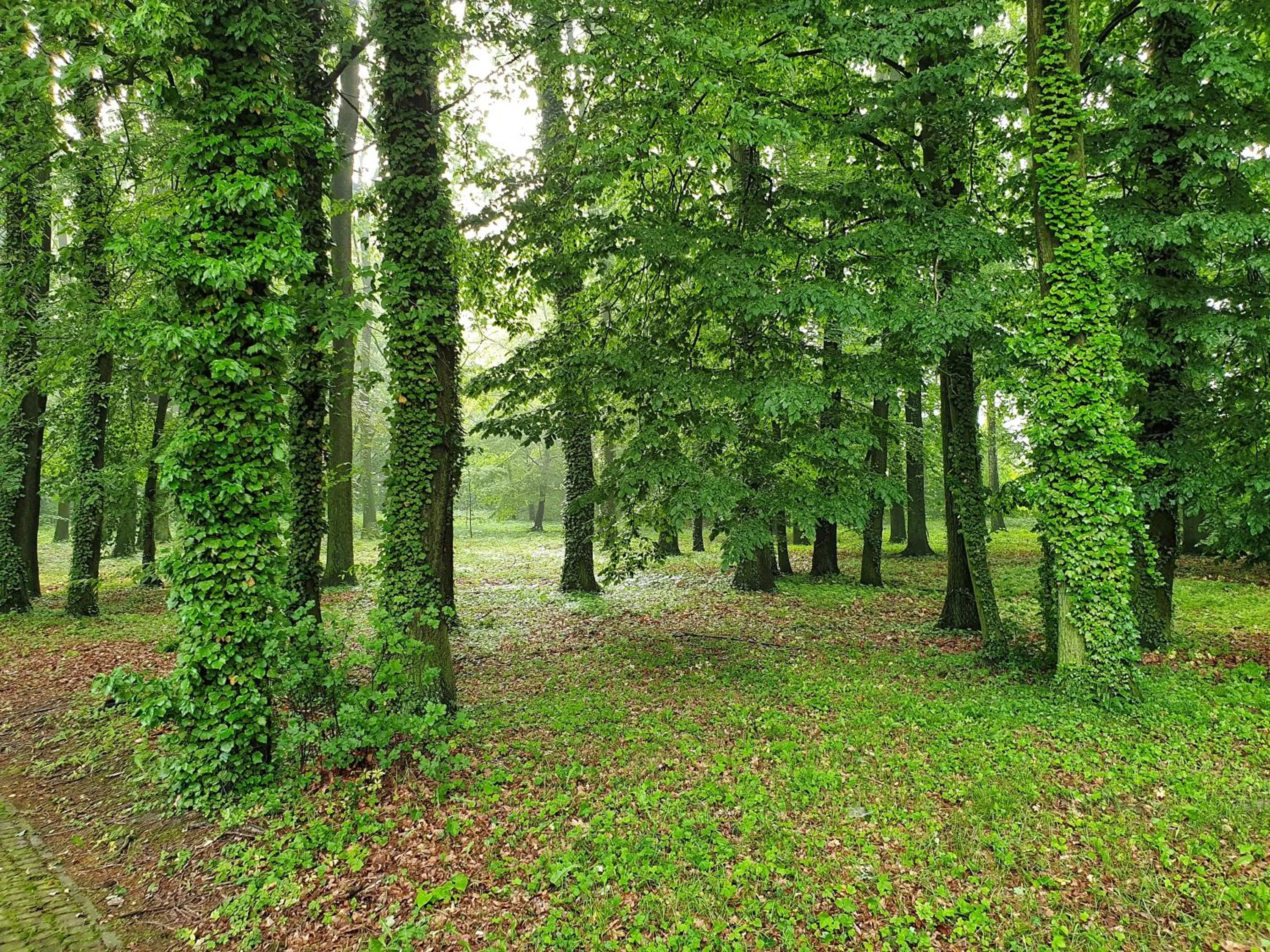 Garden in Stacja Nowa Gdynia Bed & Breakfast Aquapark