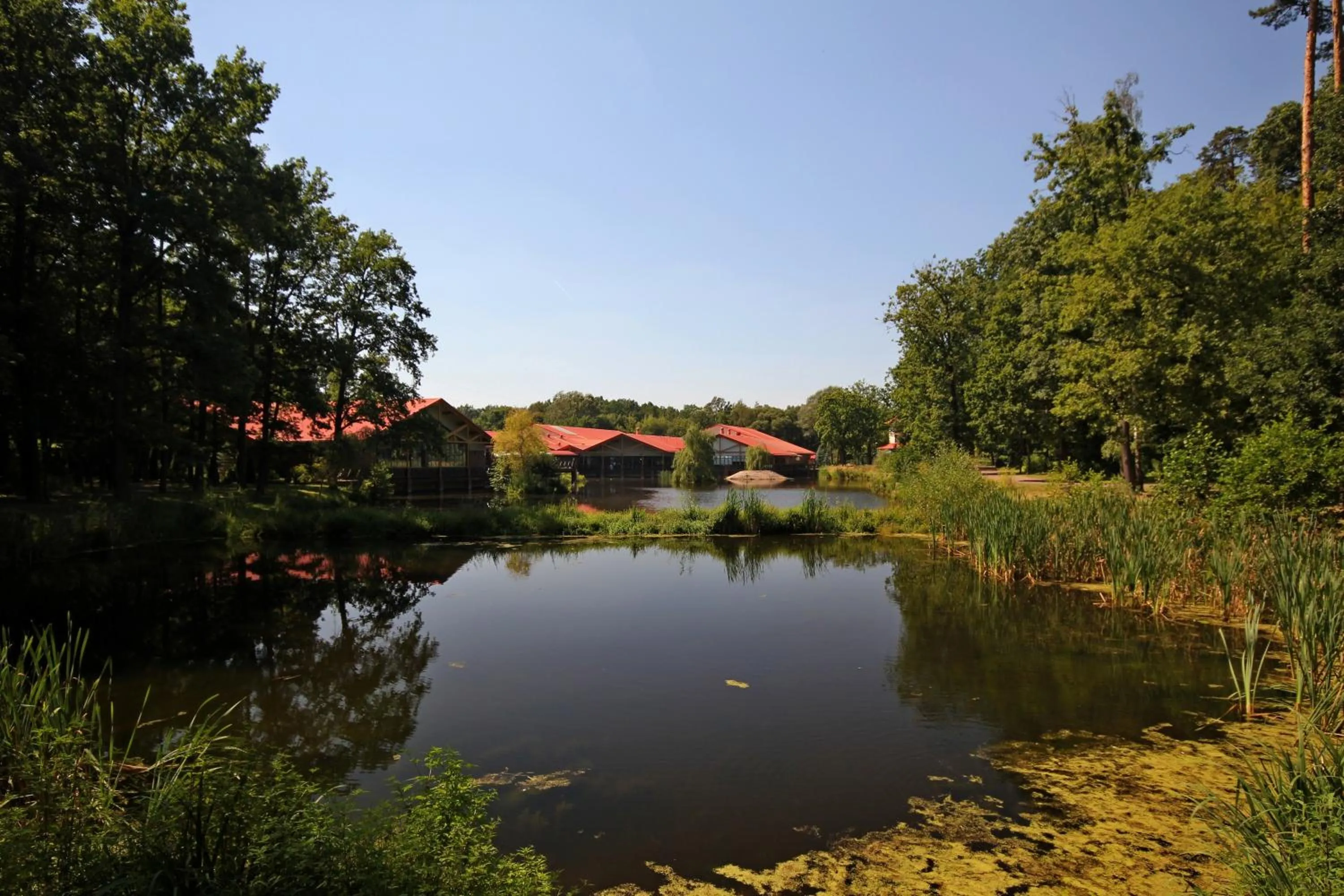 Area and facilities in Stacja Nowa Gdynia Bed & Breakfast Aquapark