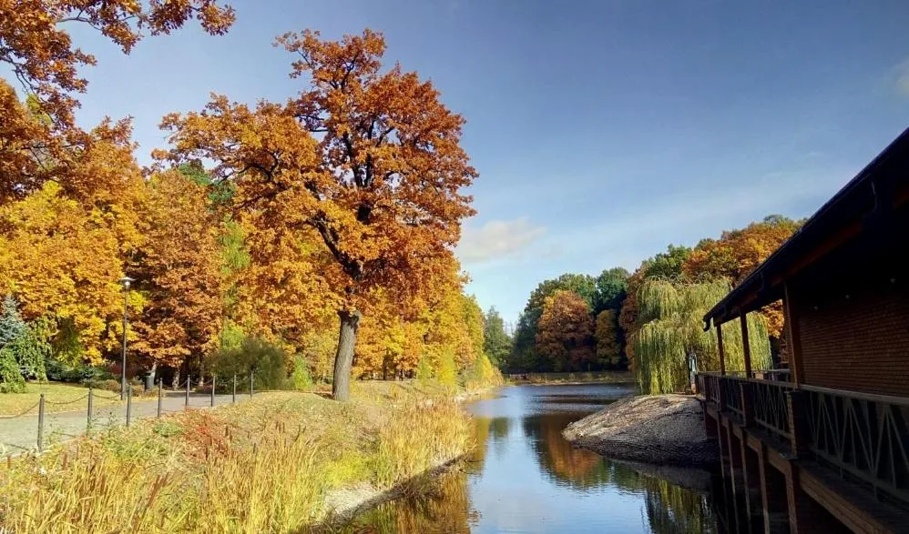 Autumn in Stacja Nowa Gdynia Bed & Breakfast Aquapark