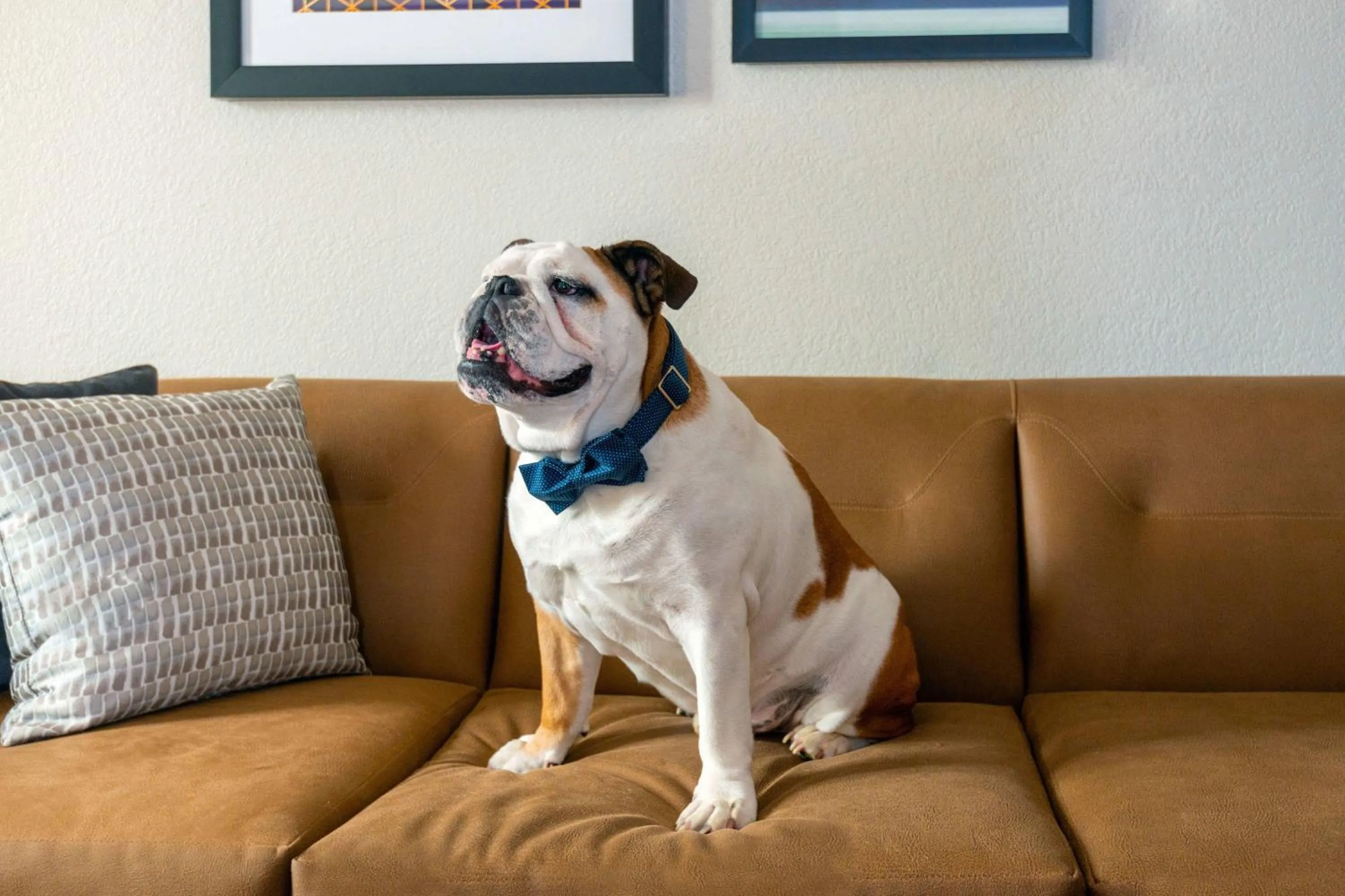 Other in Residence Inn by Marriott Boston Brockton/Easton