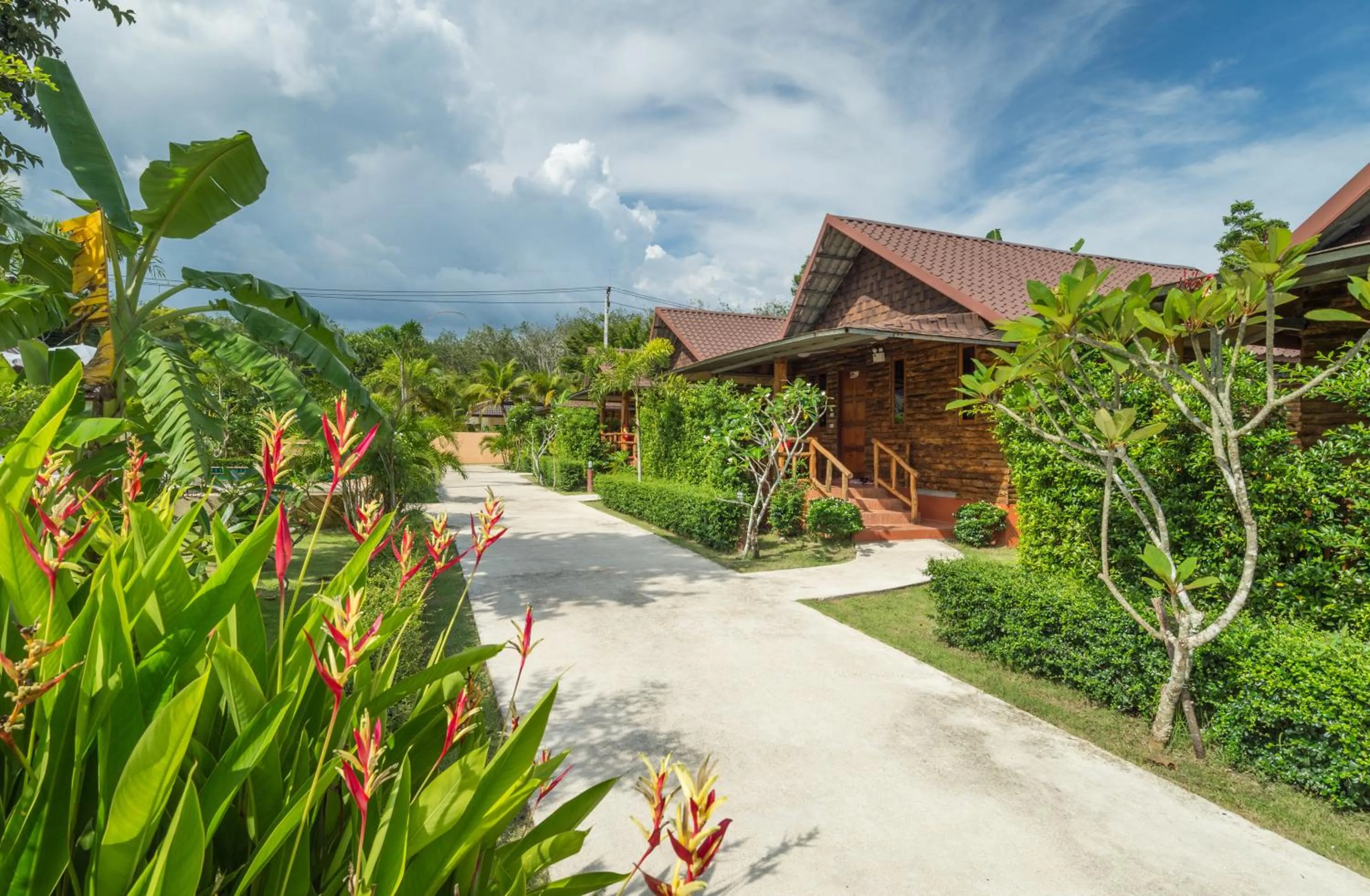 Garden in Pinthong Aonang Villa