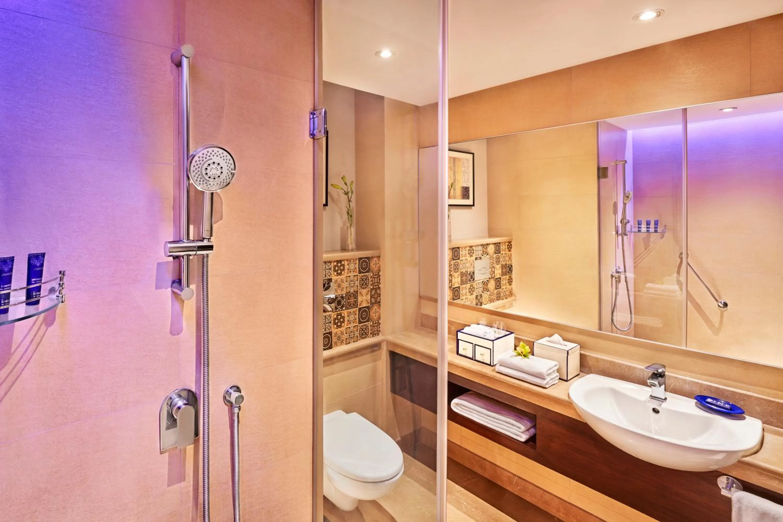 Bathroom in Vivanta Jammu City Centre