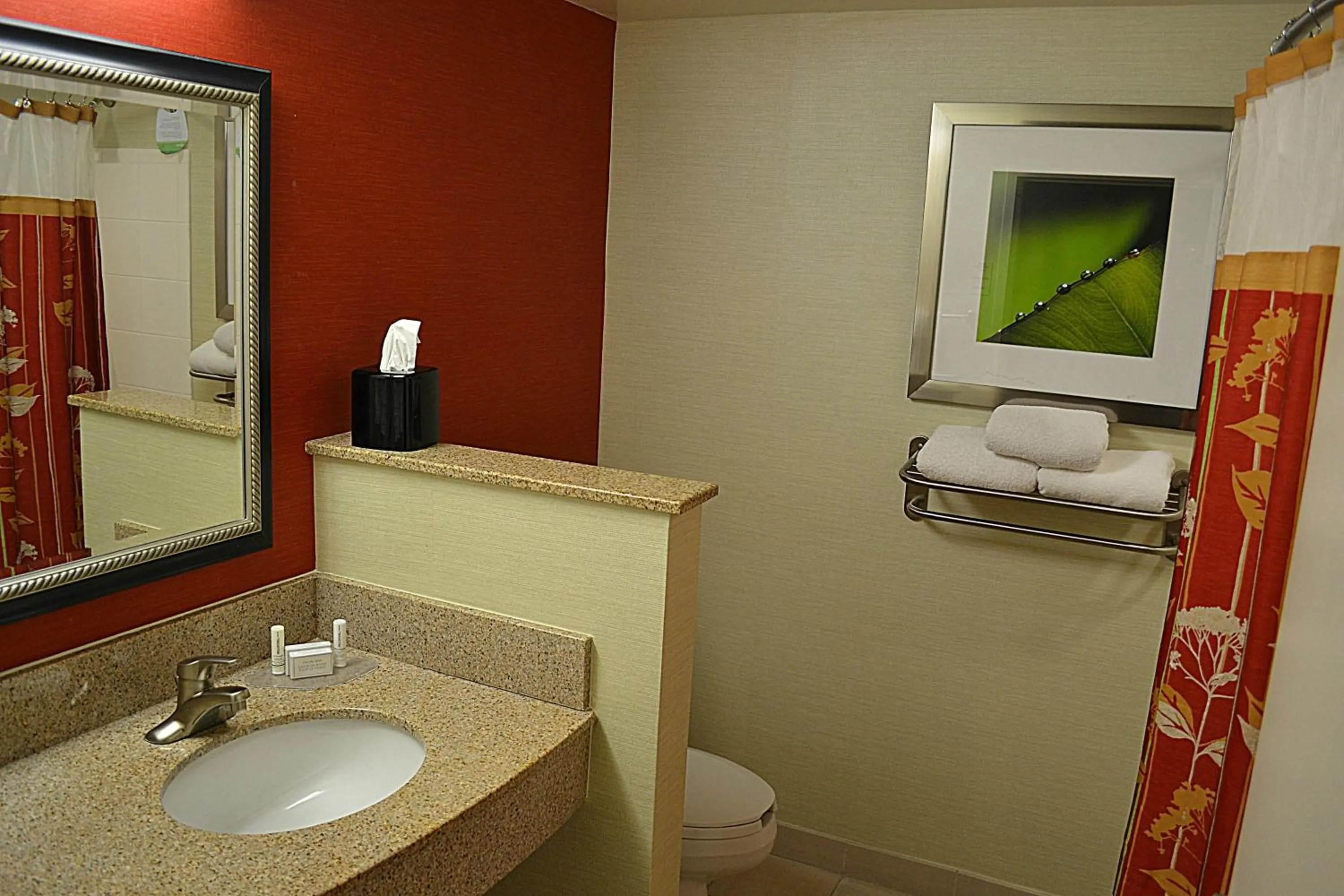 Bathroom in Courtyard Brunswick