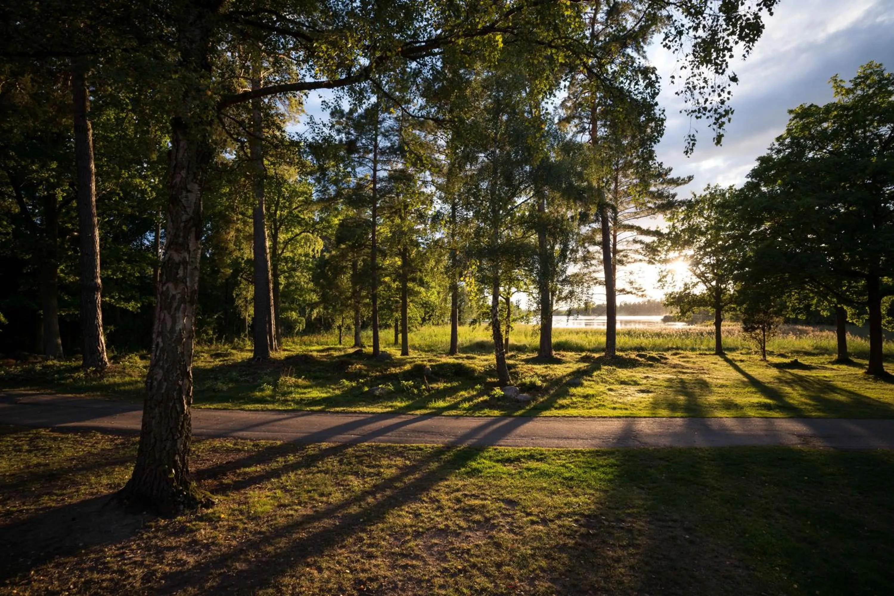 Natural landscape in First Camp Stensö-Kalmar