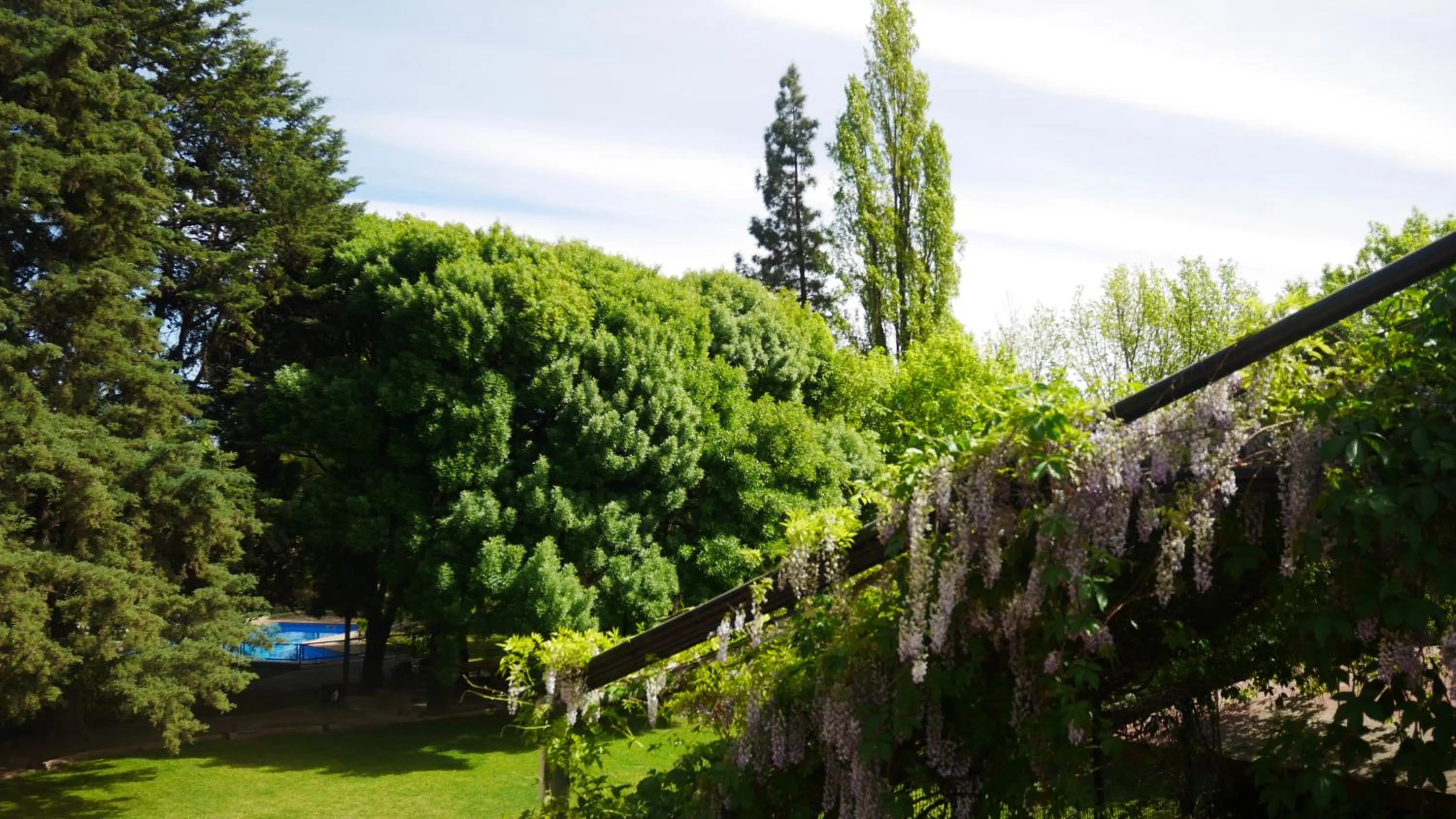 Garden in Lujan De Cuyo B&B