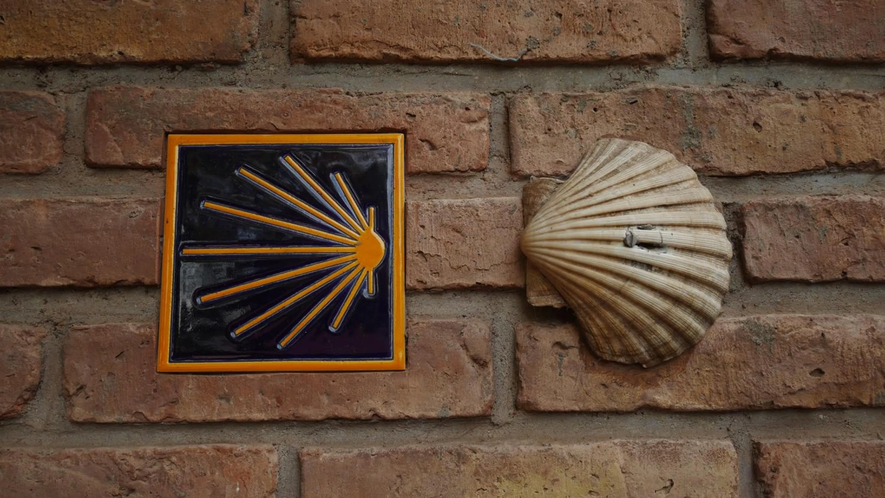 Decorative detail in Lujan De Cuyo B&B