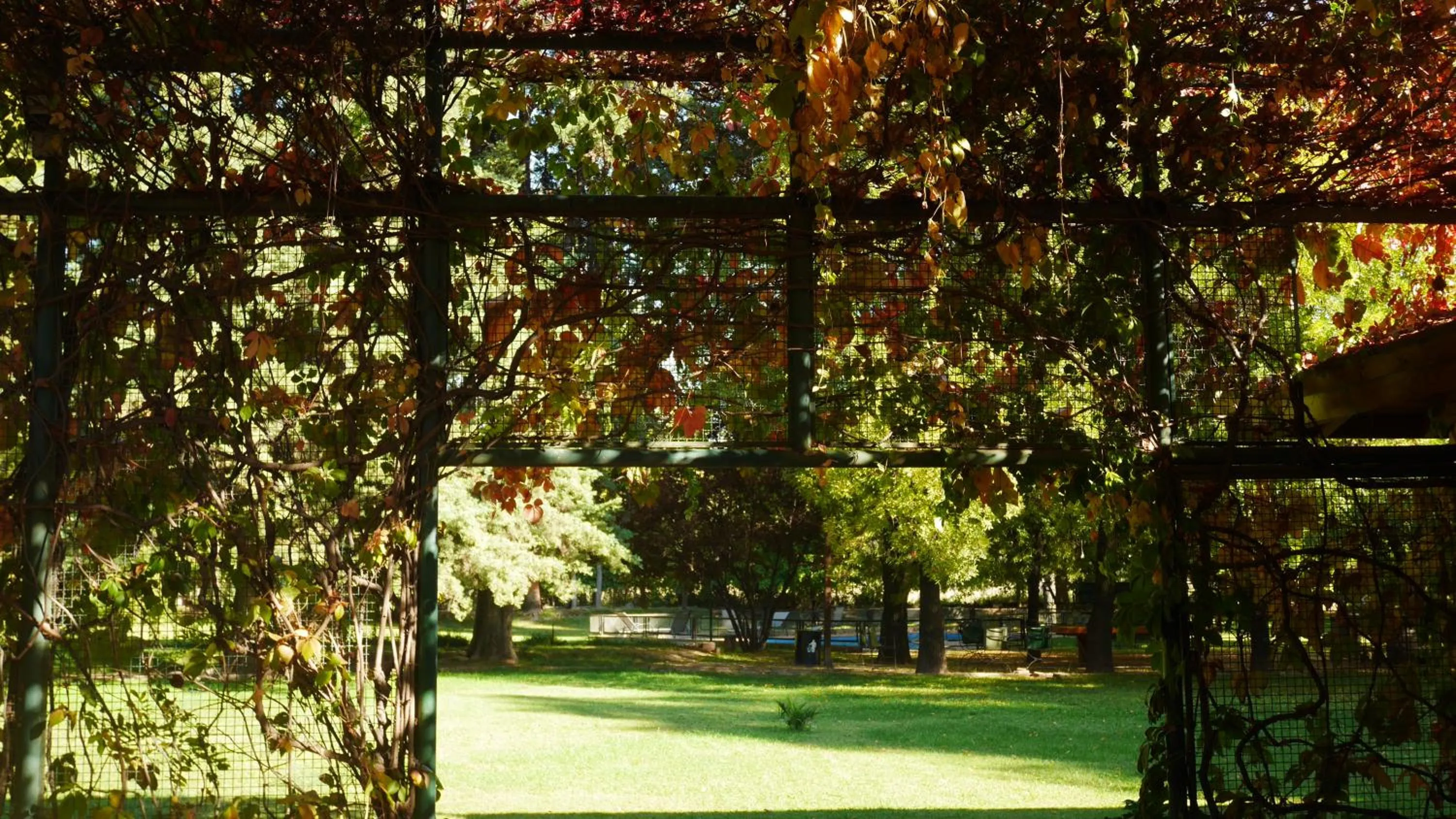 Garden in Lujan De Cuyo B&B