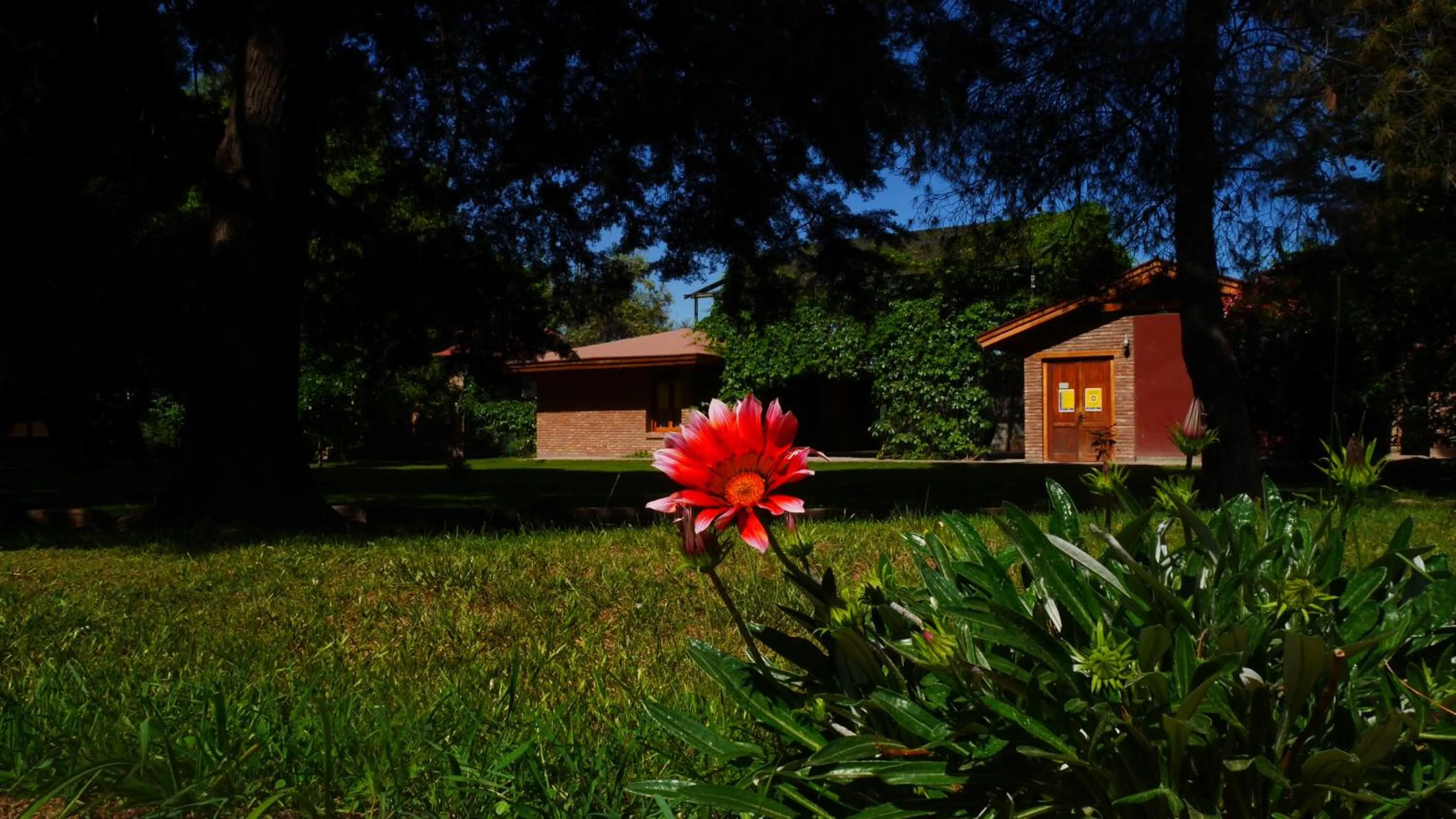 Garden in Lujan De Cuyo B&B