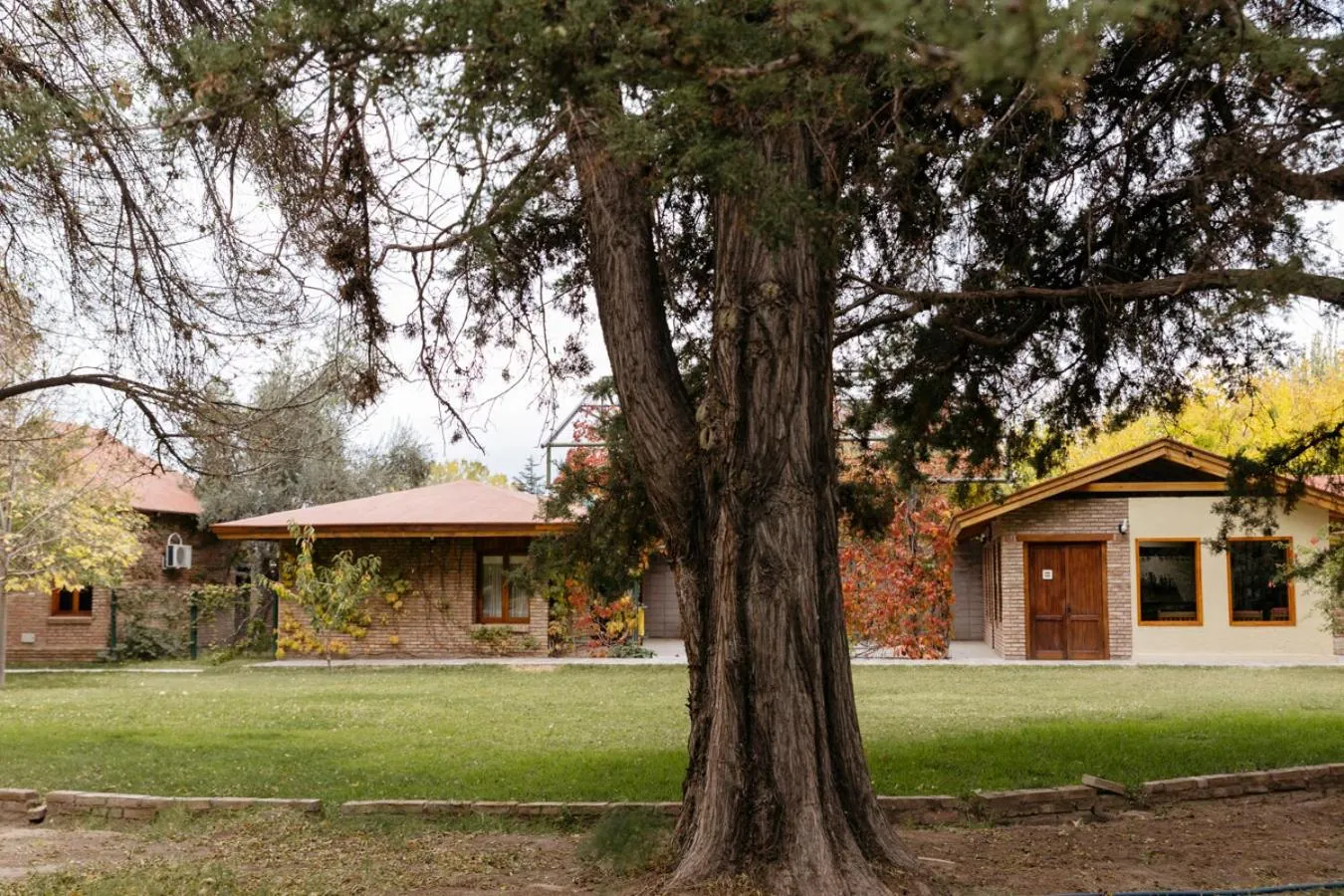 Garden in Lujan De Cuyo B&B