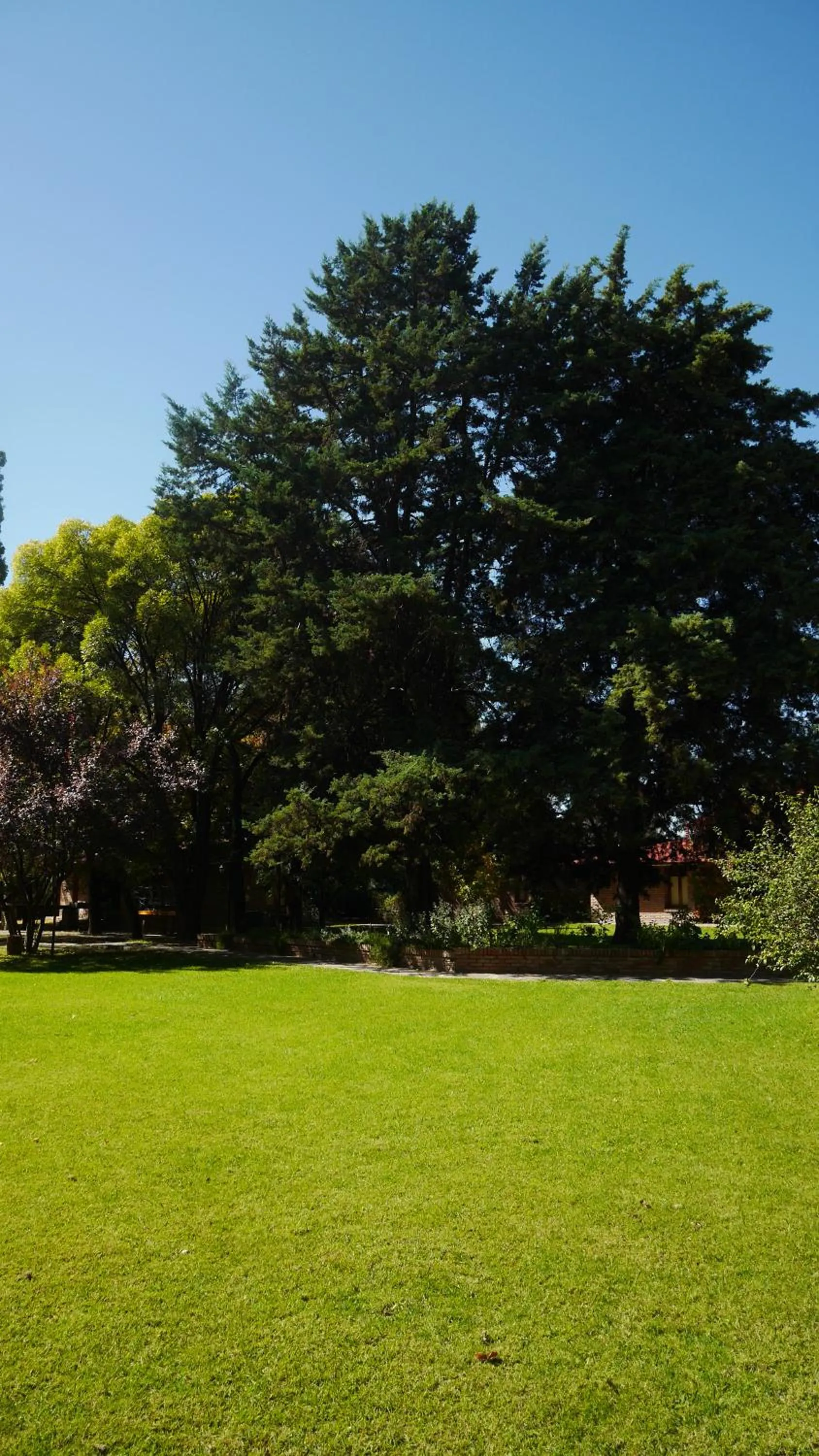 Garden in Lujan De Cuyo B&B