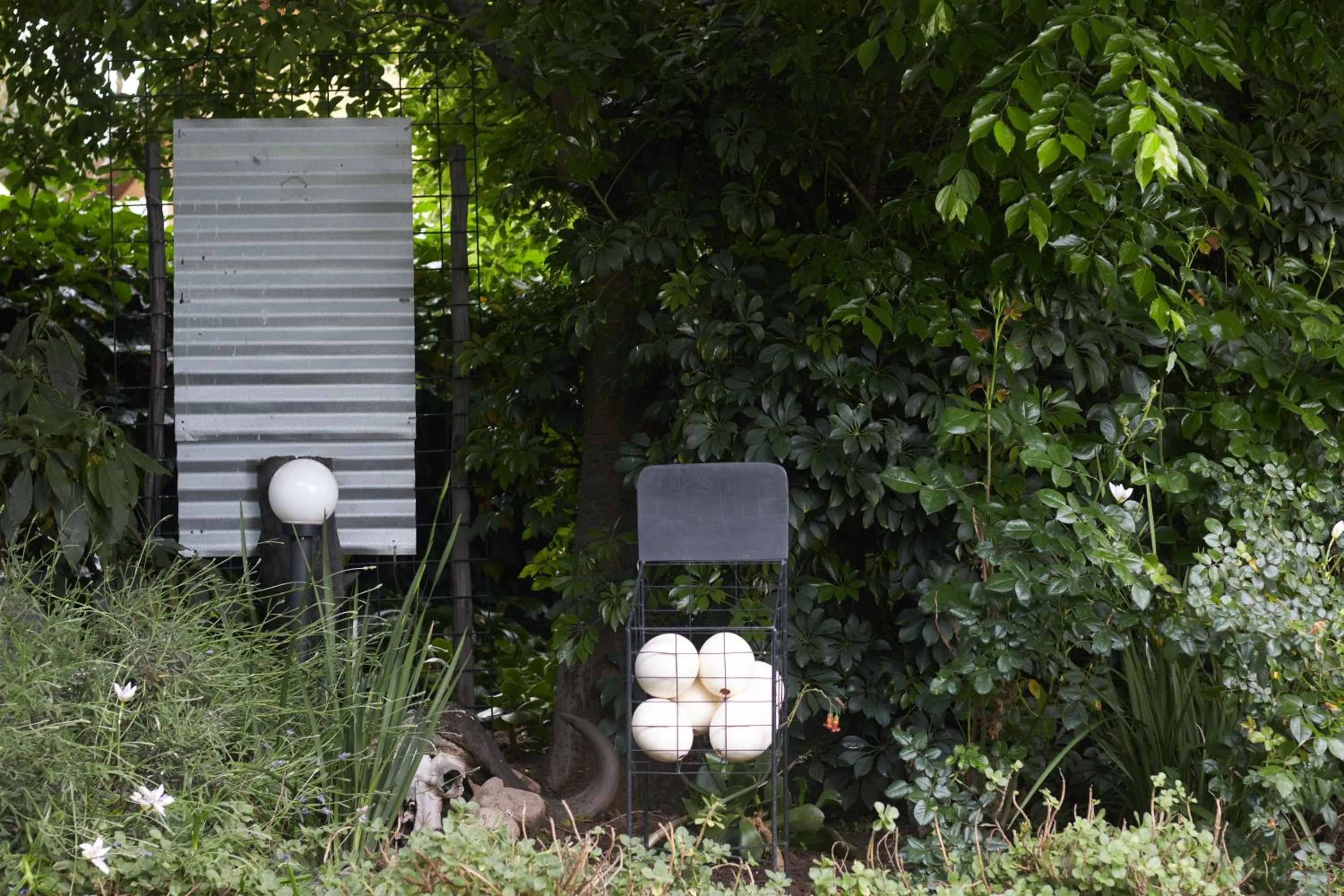 Garden view in De Akker Guest House Oudtshoorn