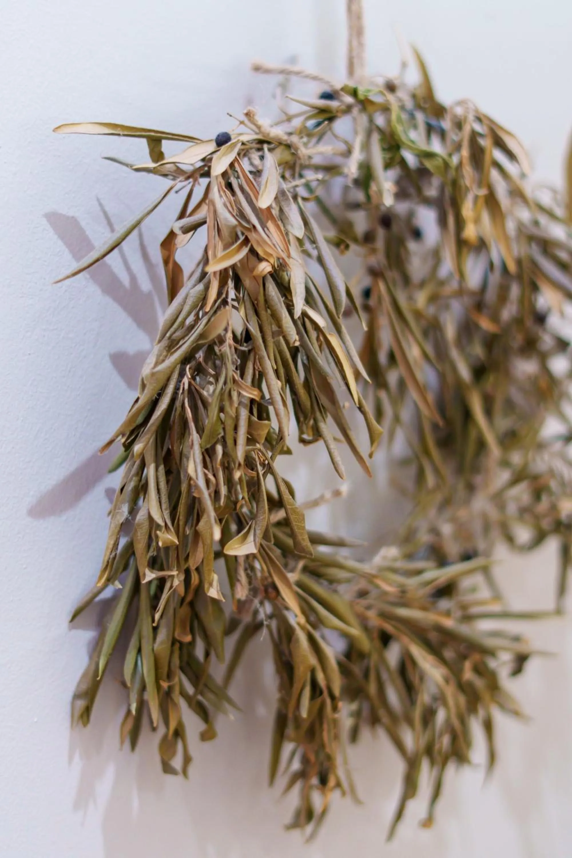 Decorative detail in De Akker Guest House Oudtshoorn