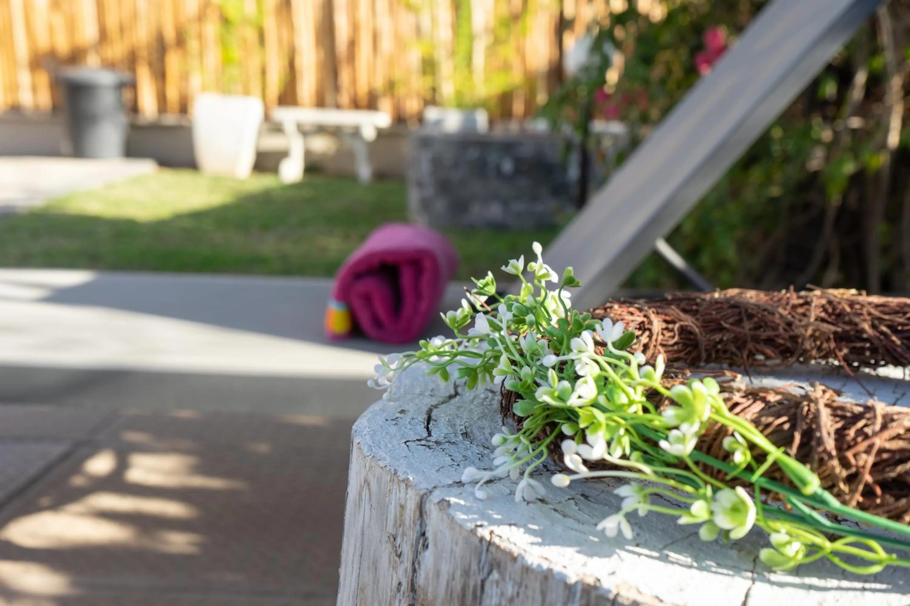 Garden in De Akker Guest House Oudtshoorn