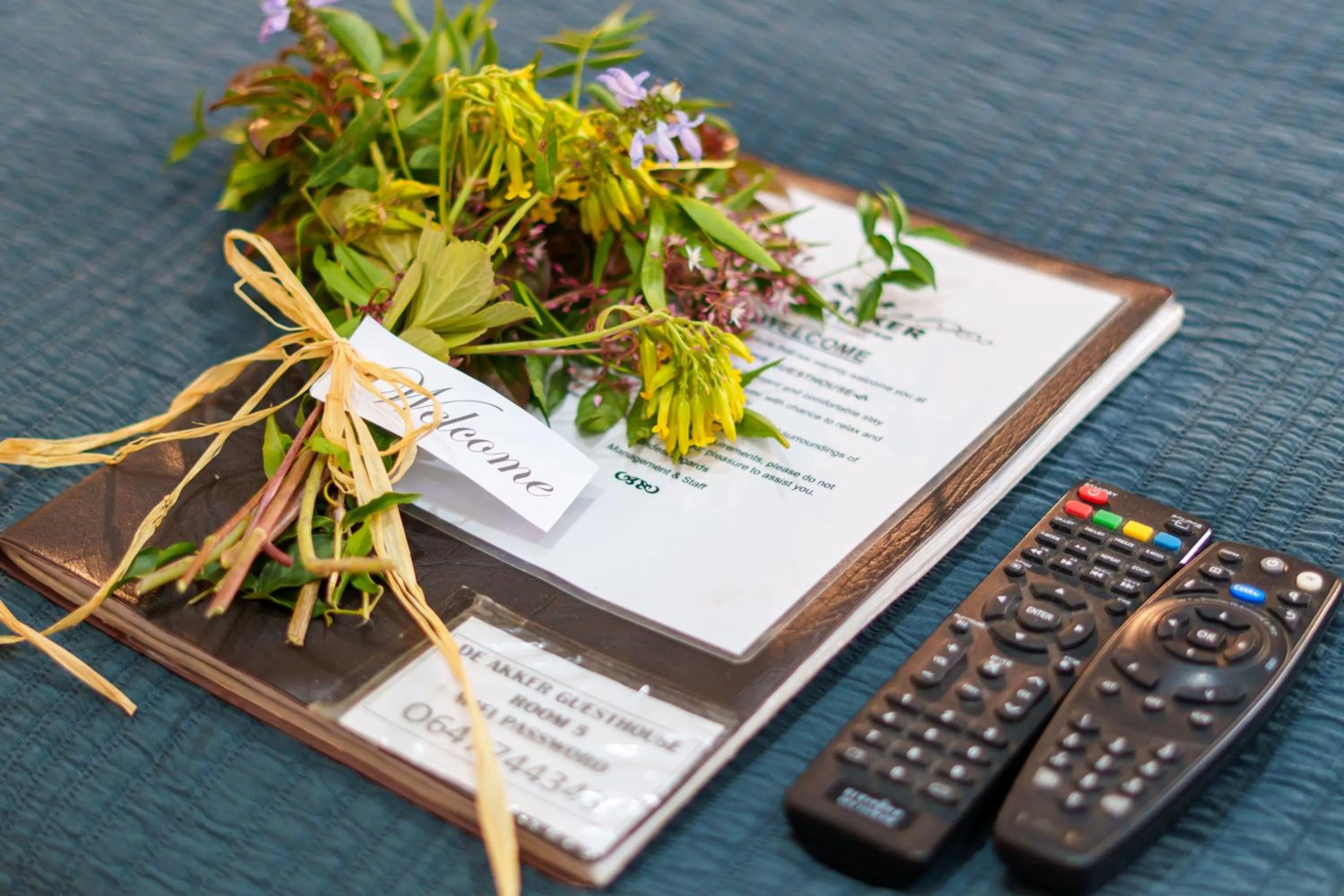 Decorative detail in De Akker Guest House Oudtshoorn